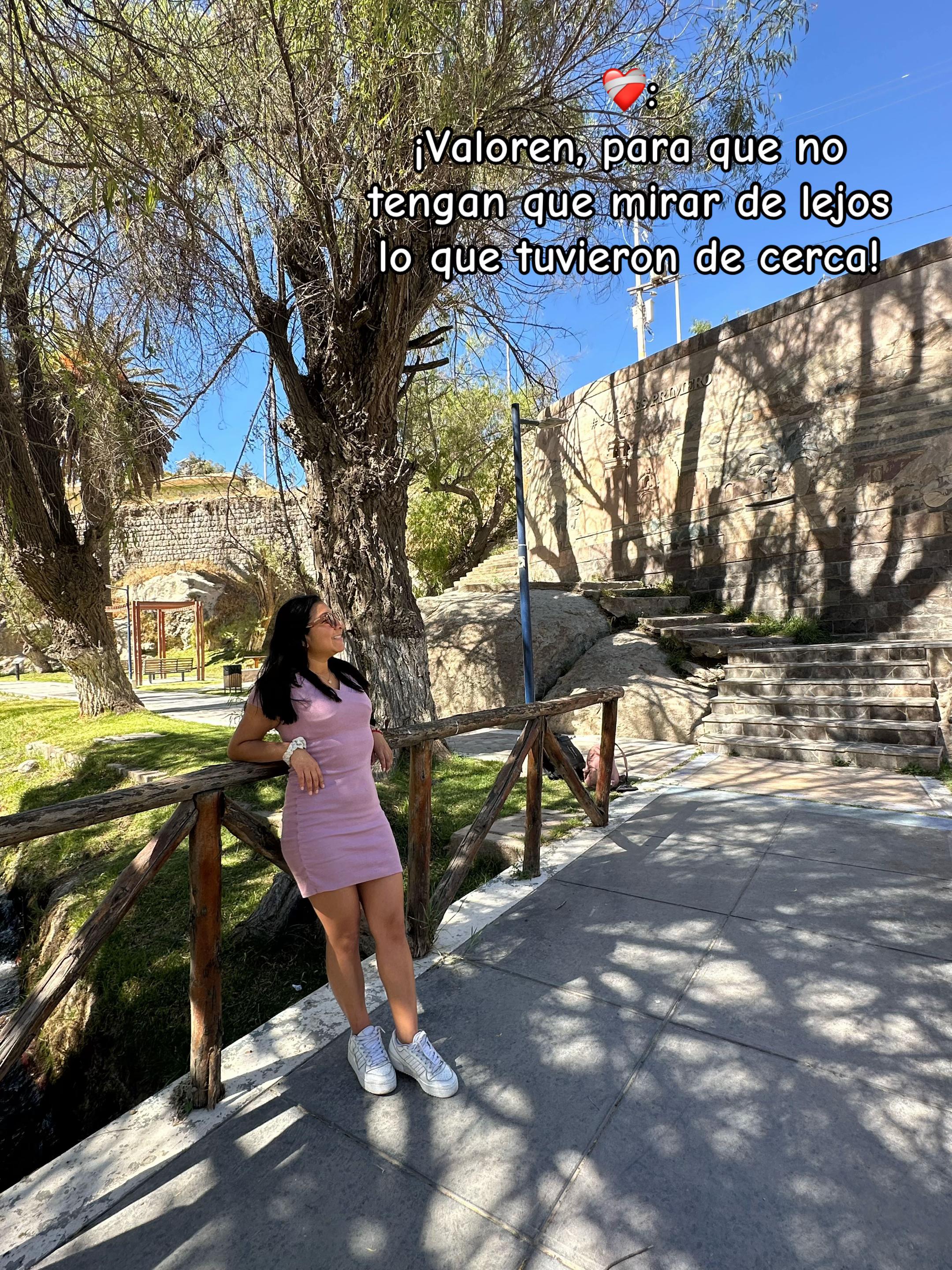 @Rosaquispe3092