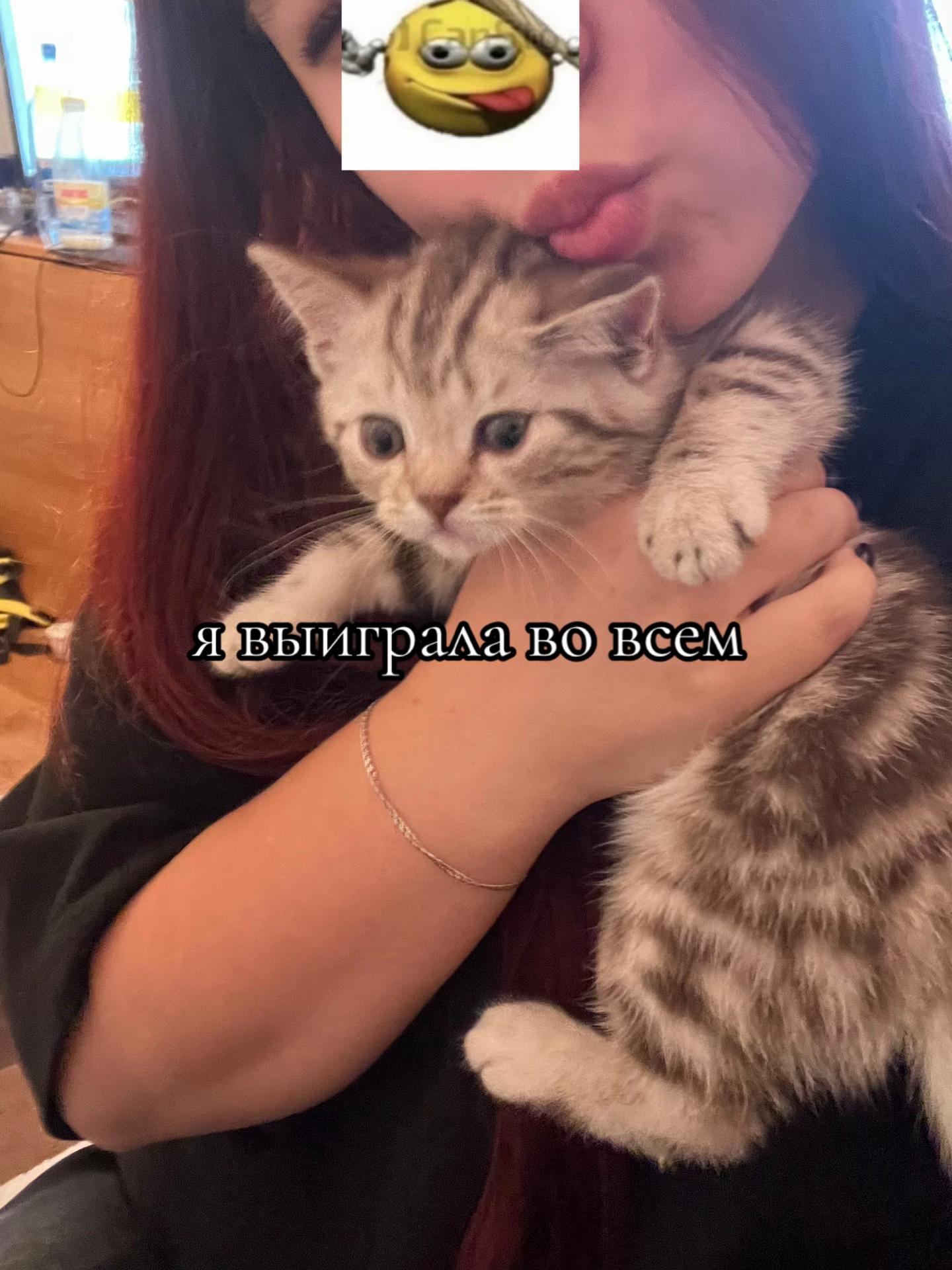 @алена