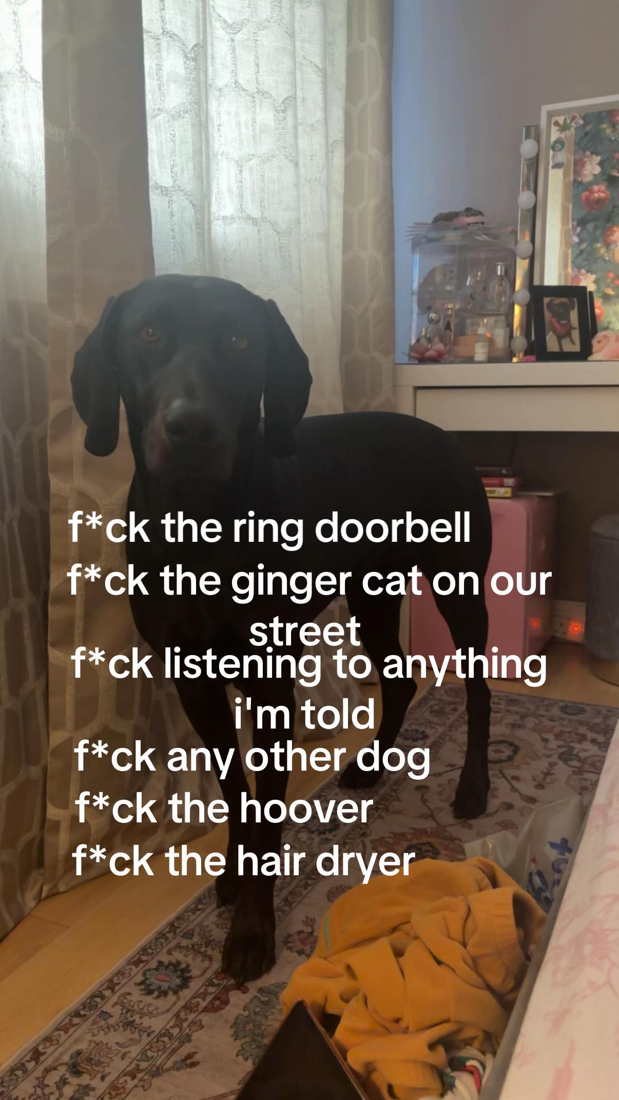 @ewinwowdon