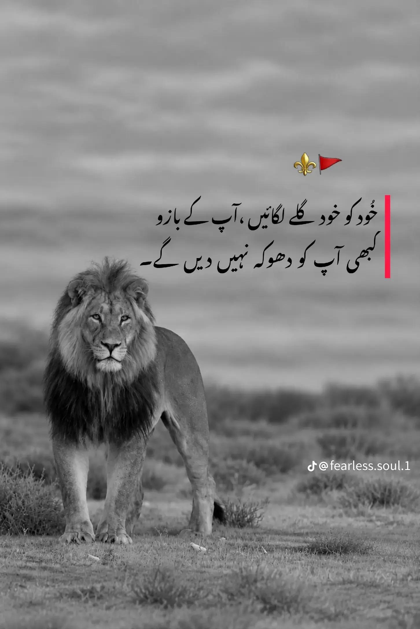 @Bashrat Bhatti 752