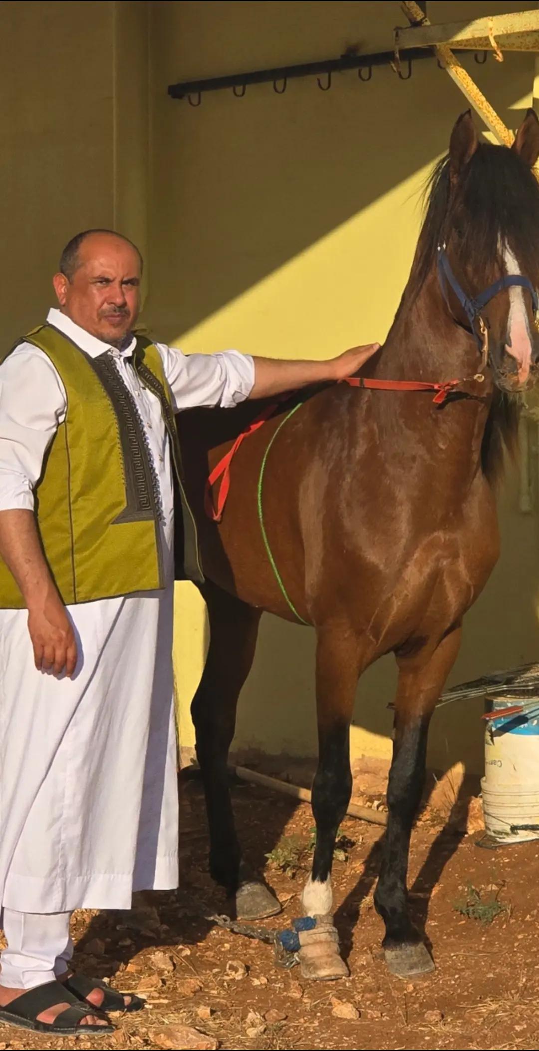 @وادي الشيص الجبل الاخضر