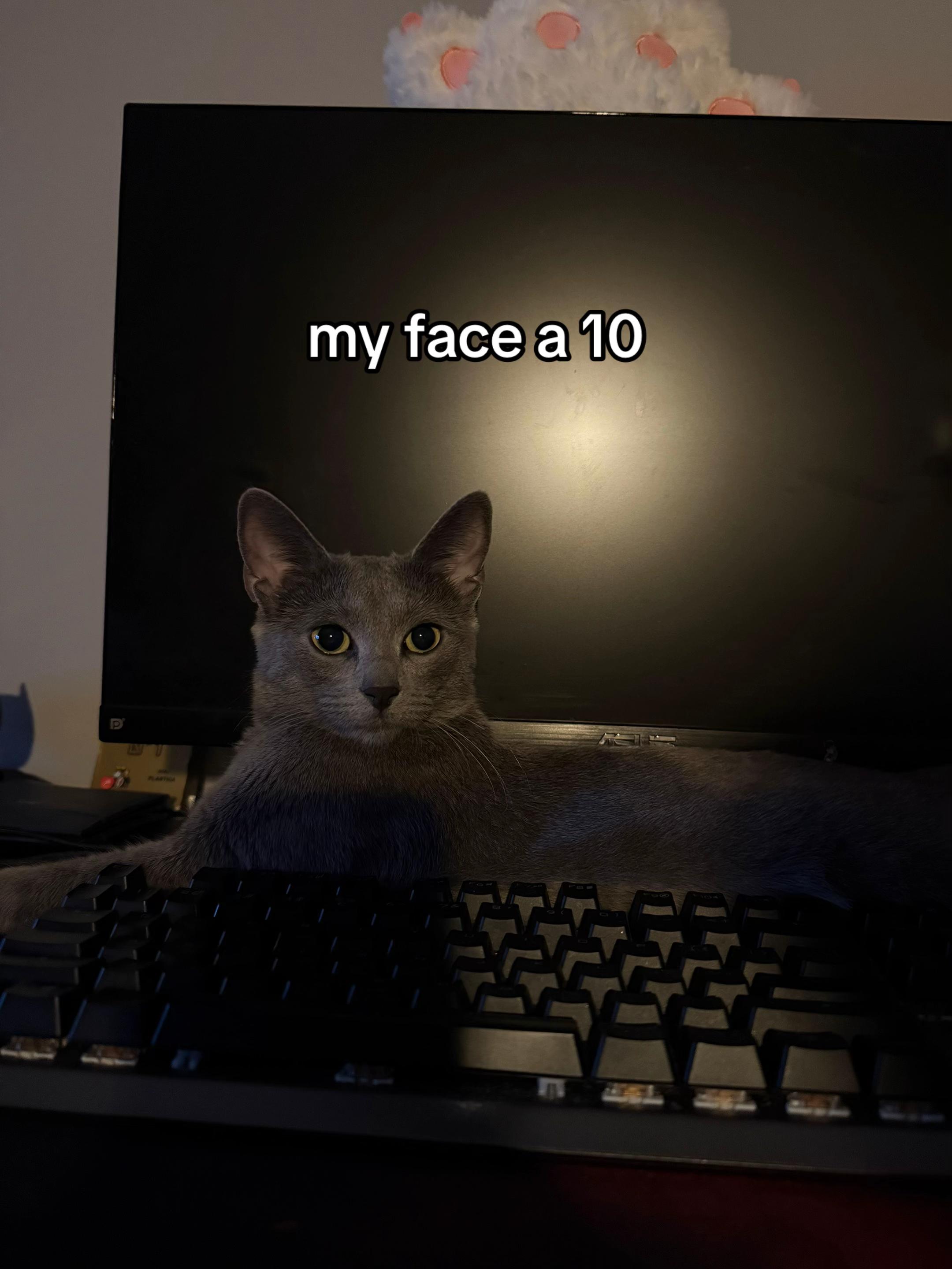 @Luka