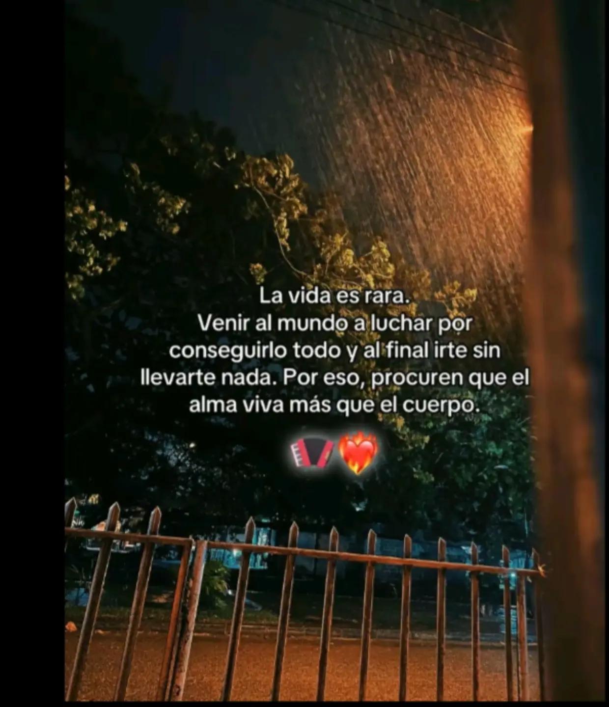 @Gatita ❤️@^>