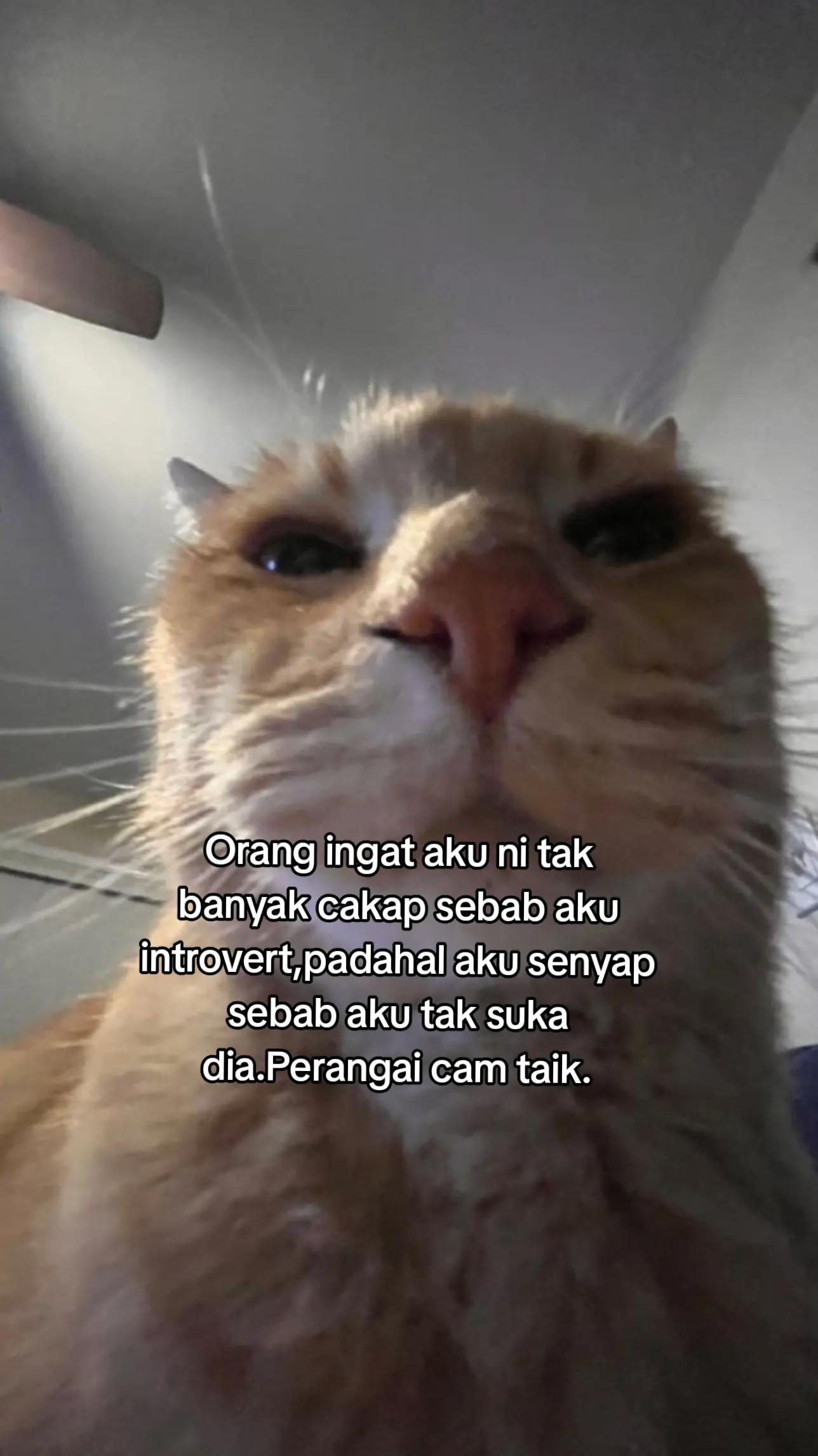 @M A N