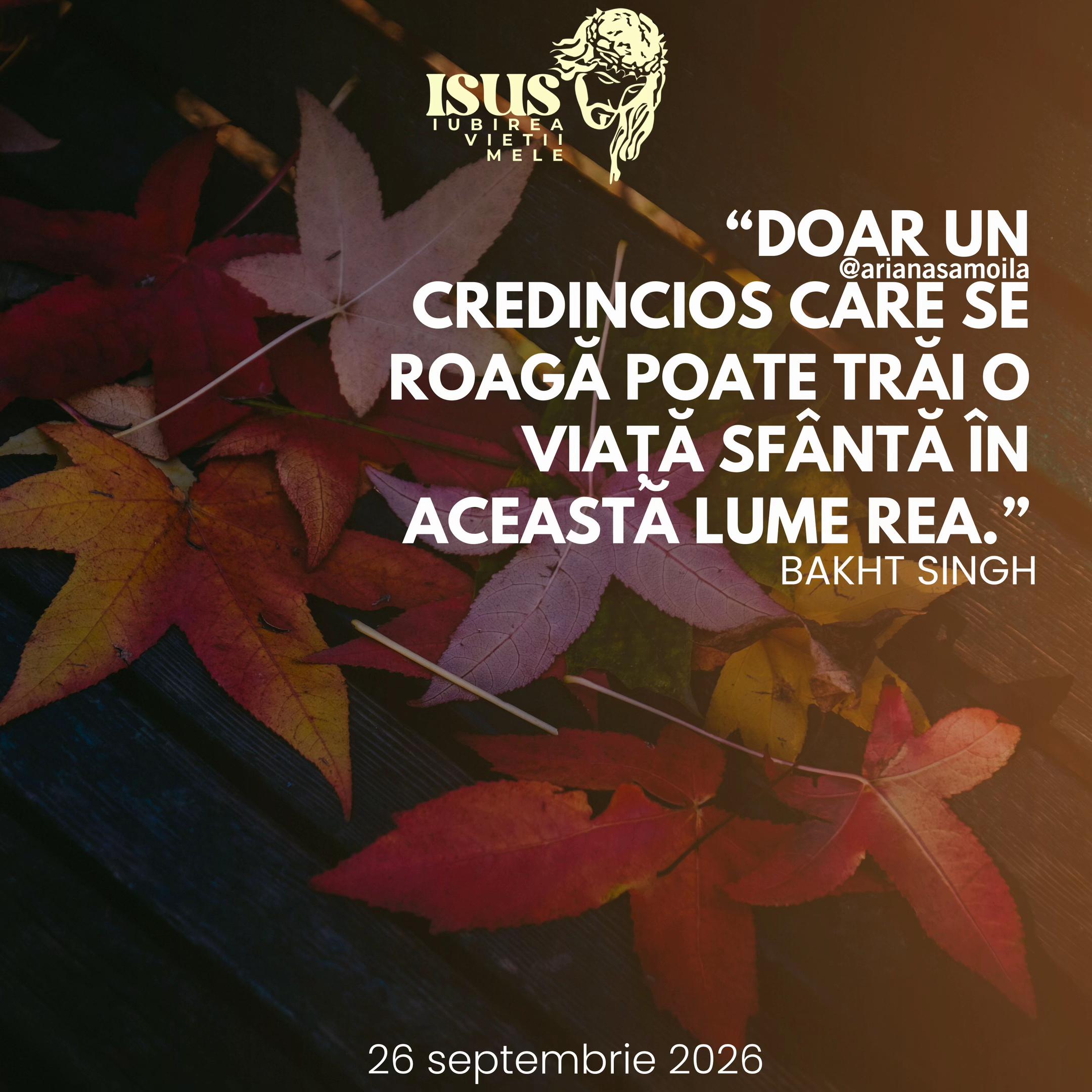@Ariana Samoilă