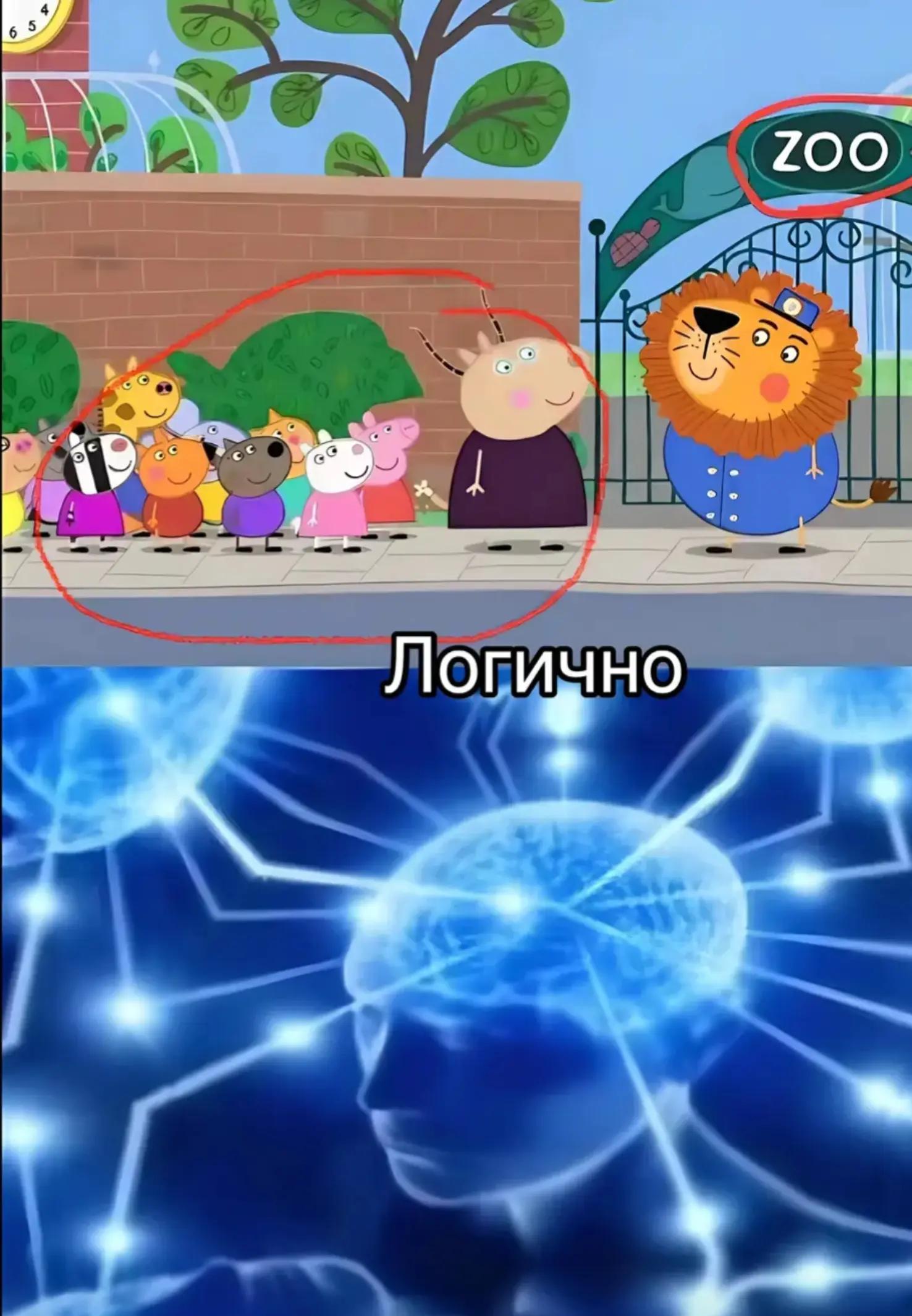 @andrejka