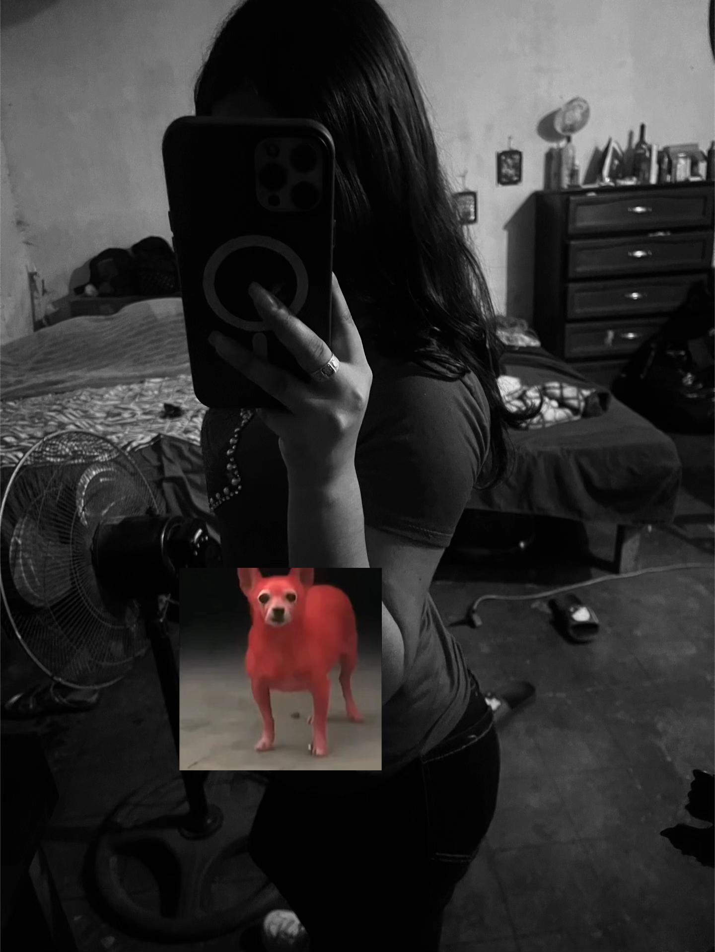 @💕🫦NTS💋🫶🏻