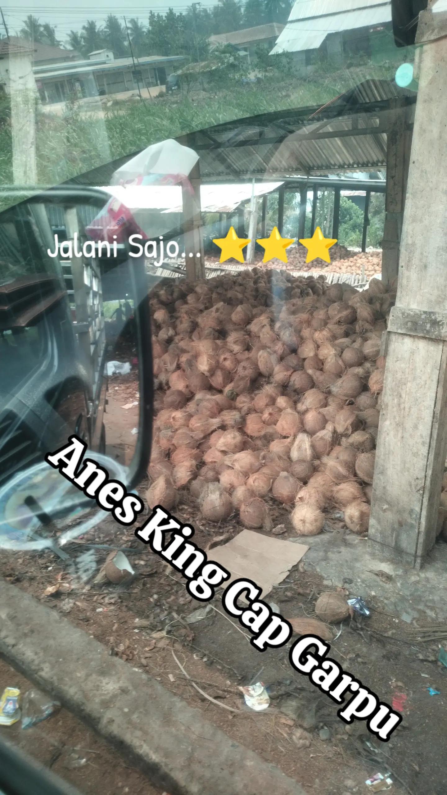 @Anes_King_cap_garpu