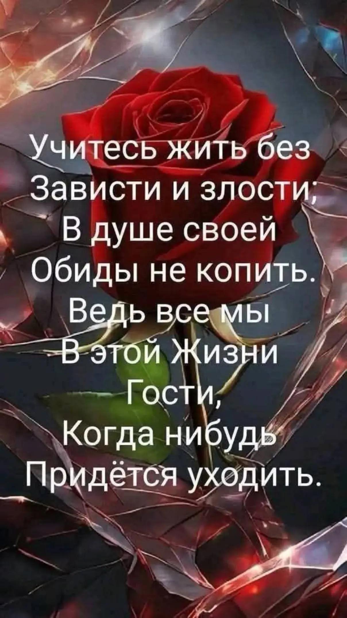 @erjan_talas
