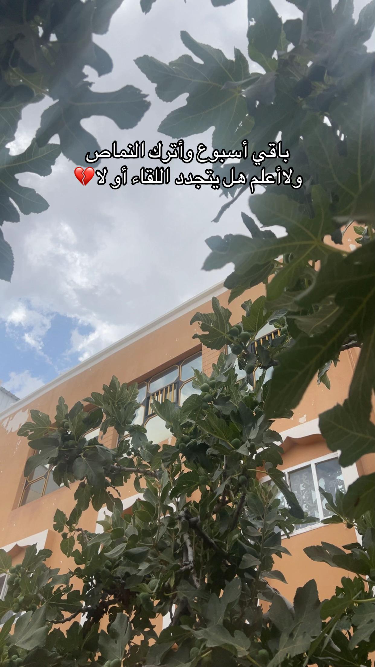 @• sнєняɪαн ||شِهرية 📸