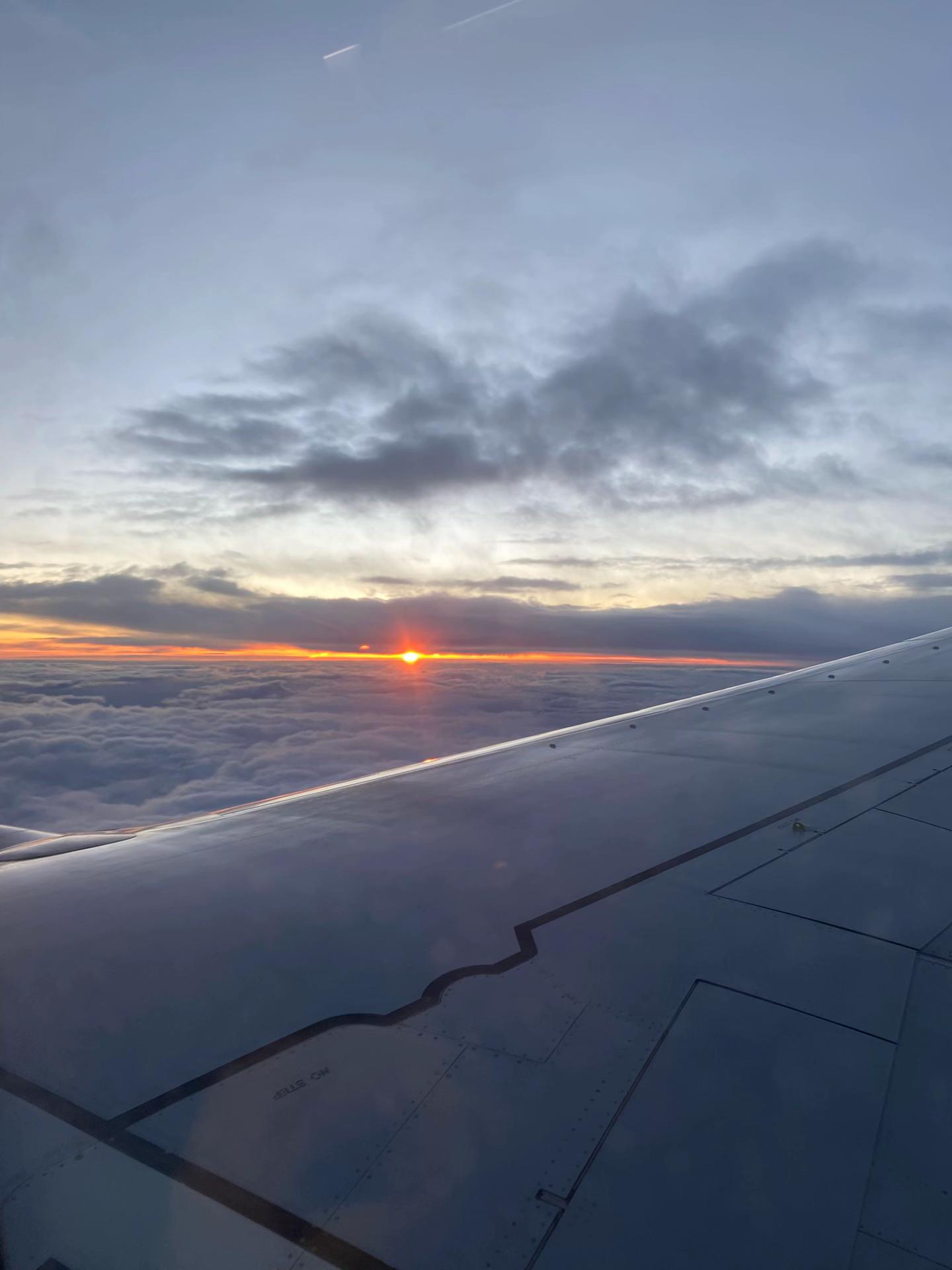 @bebuz 🌟