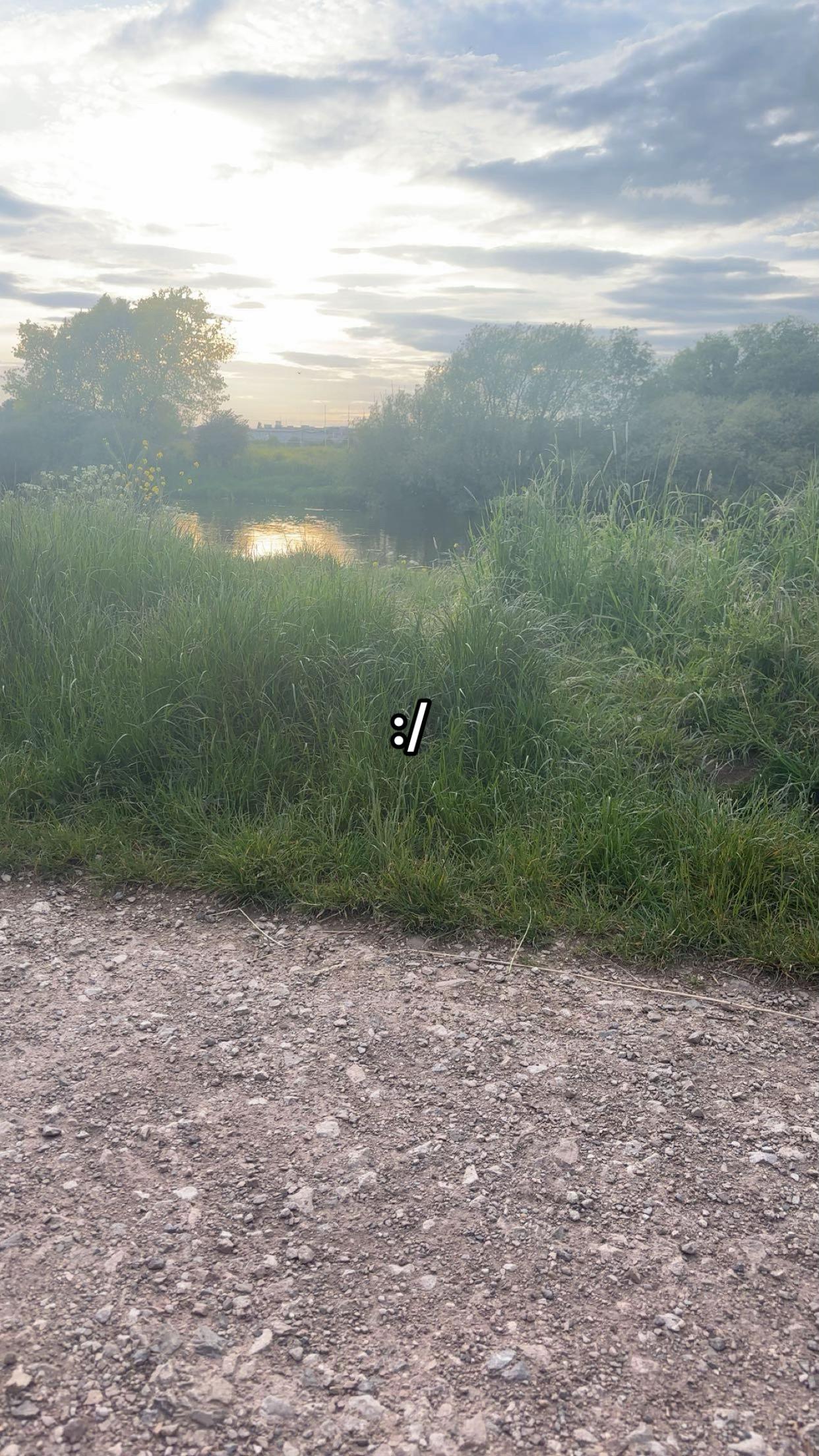 @⃟