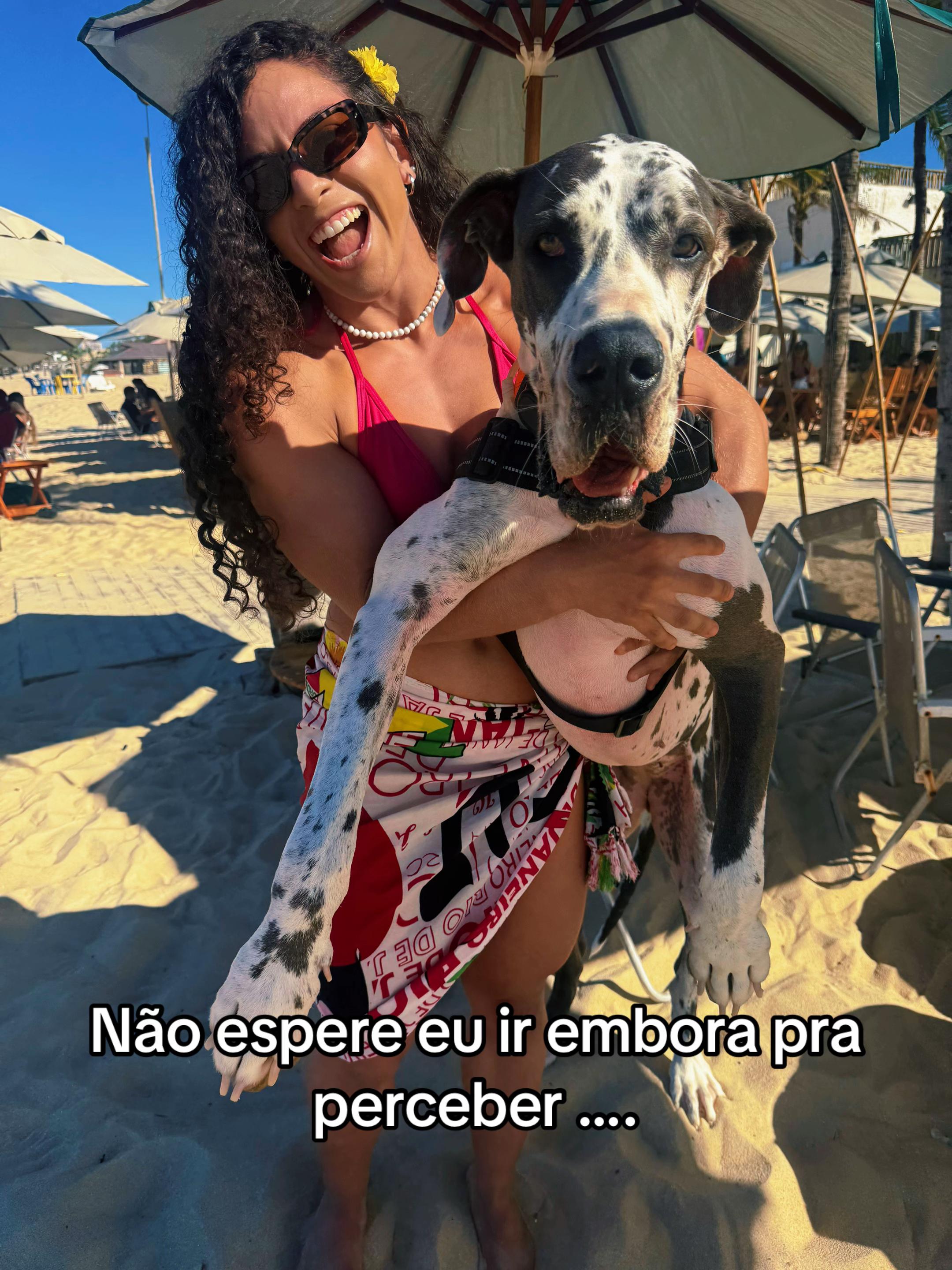 @Beatriz Martins