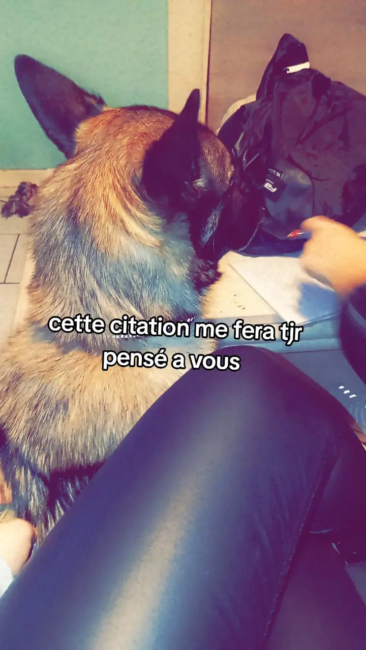 @so