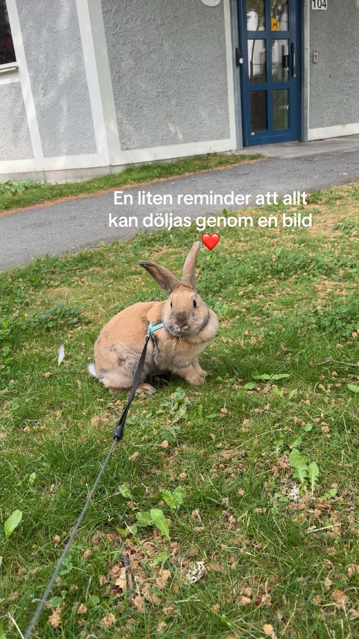 @jolinemagnum