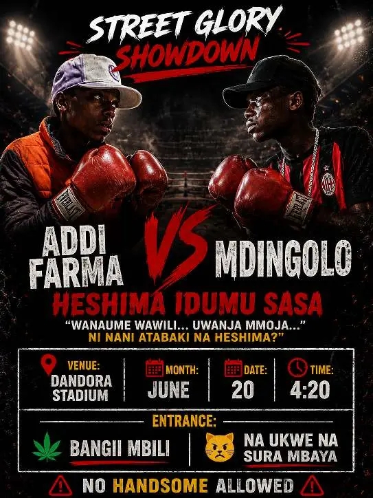 @madova mdingolo