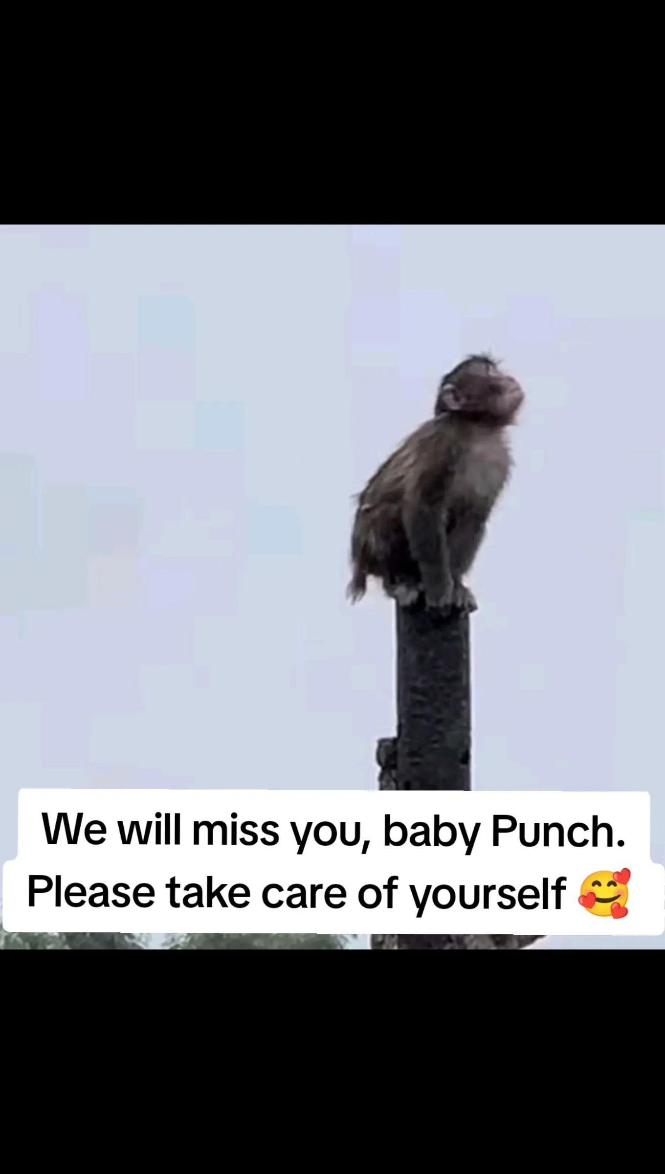 @zikstin16