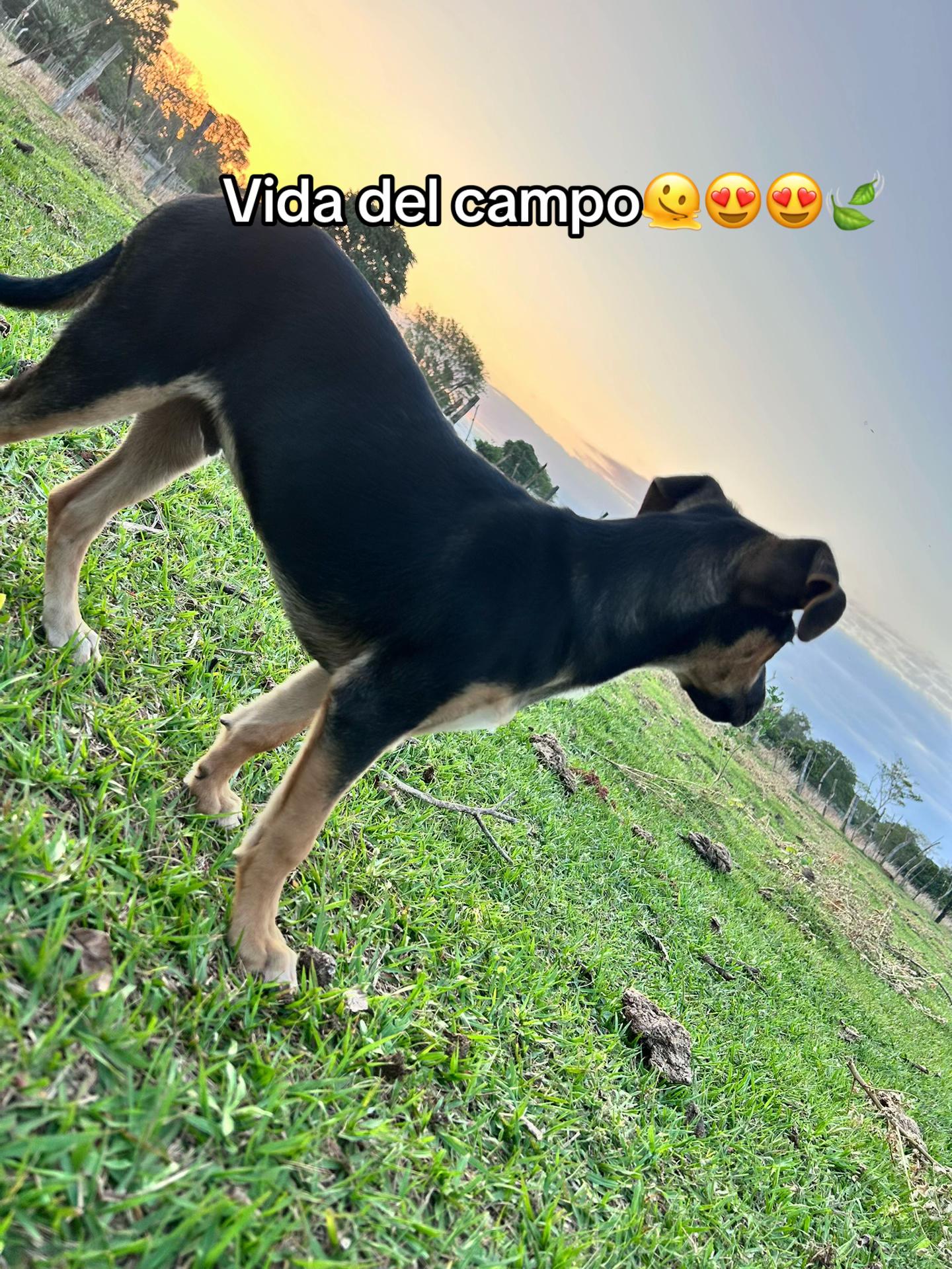 @Claudelina González 🤠😍✨