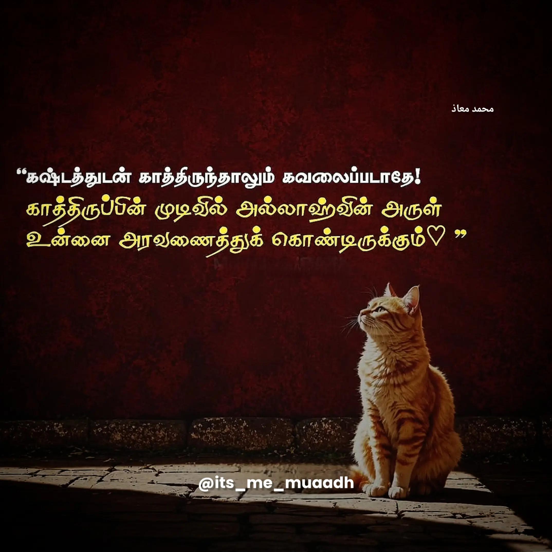@𝗜𝘁'𝘀 𝗠𝗲 𝗠𝗨𝗔𝗔𝗗𝗛