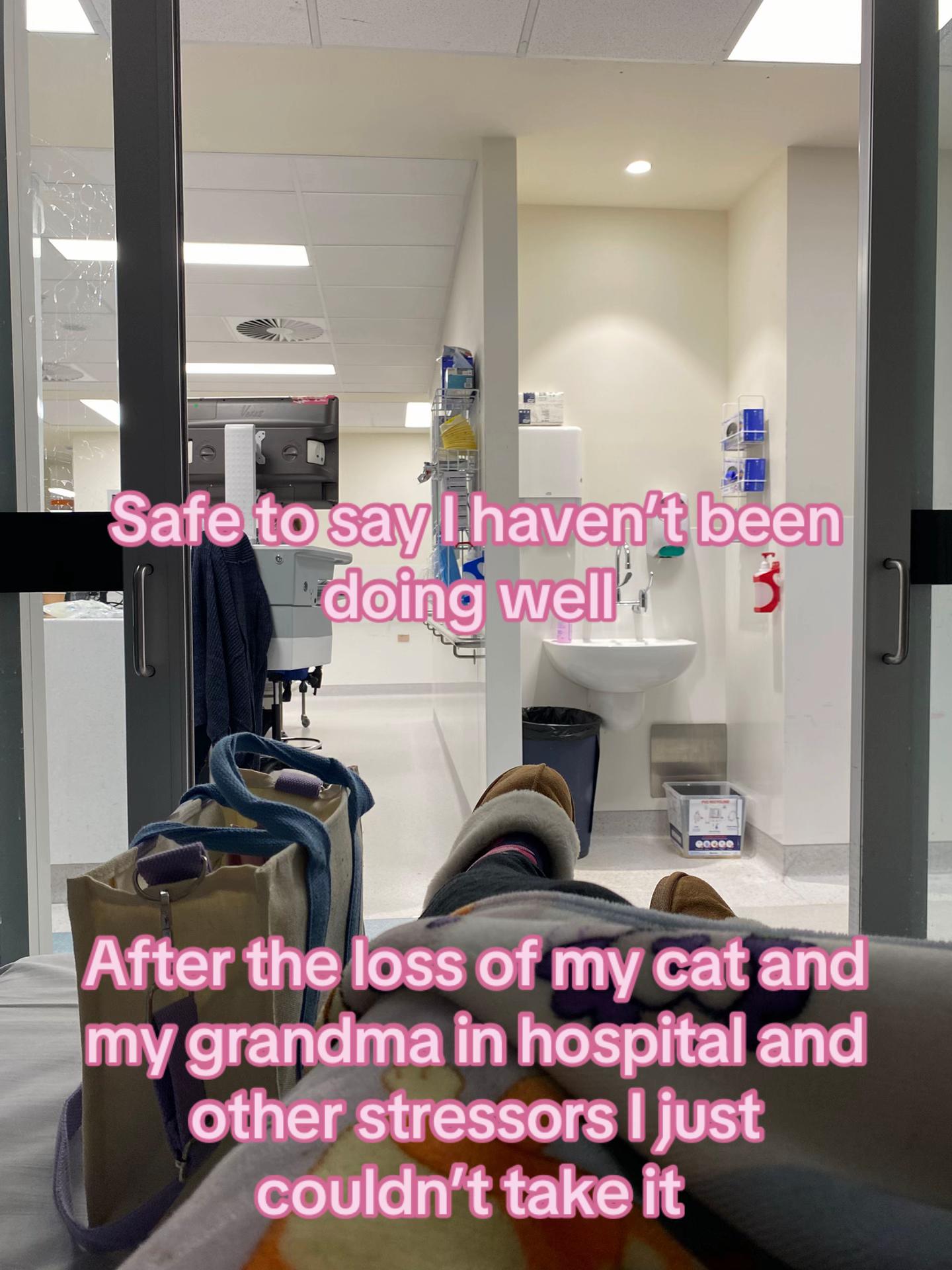 @cat