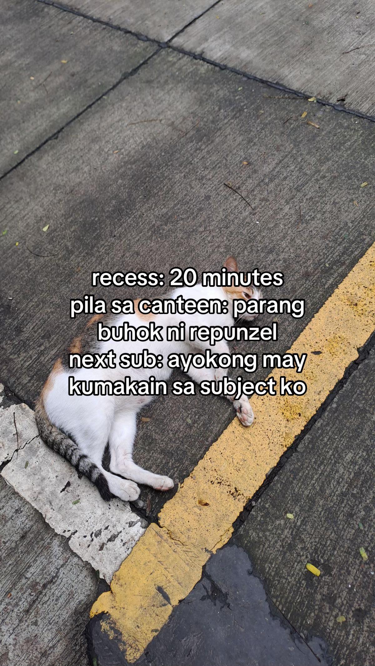@ako si cute
