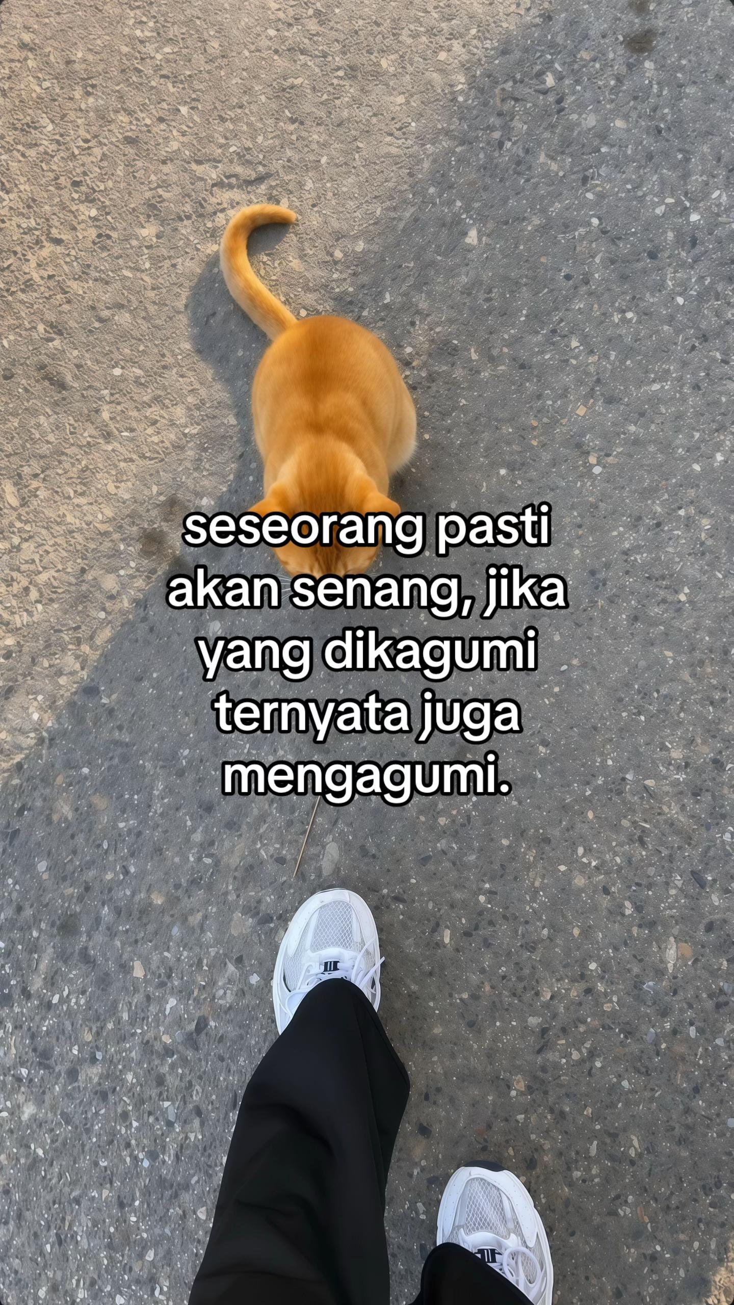@️