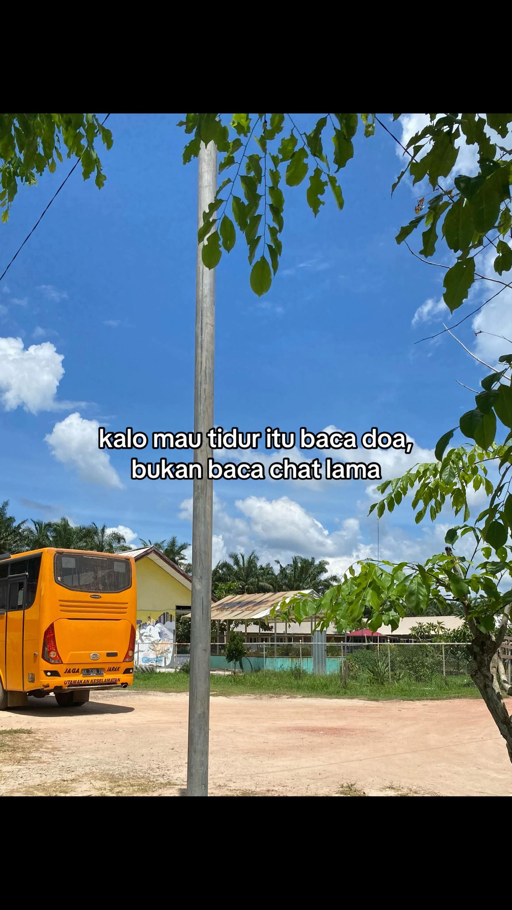 @pall