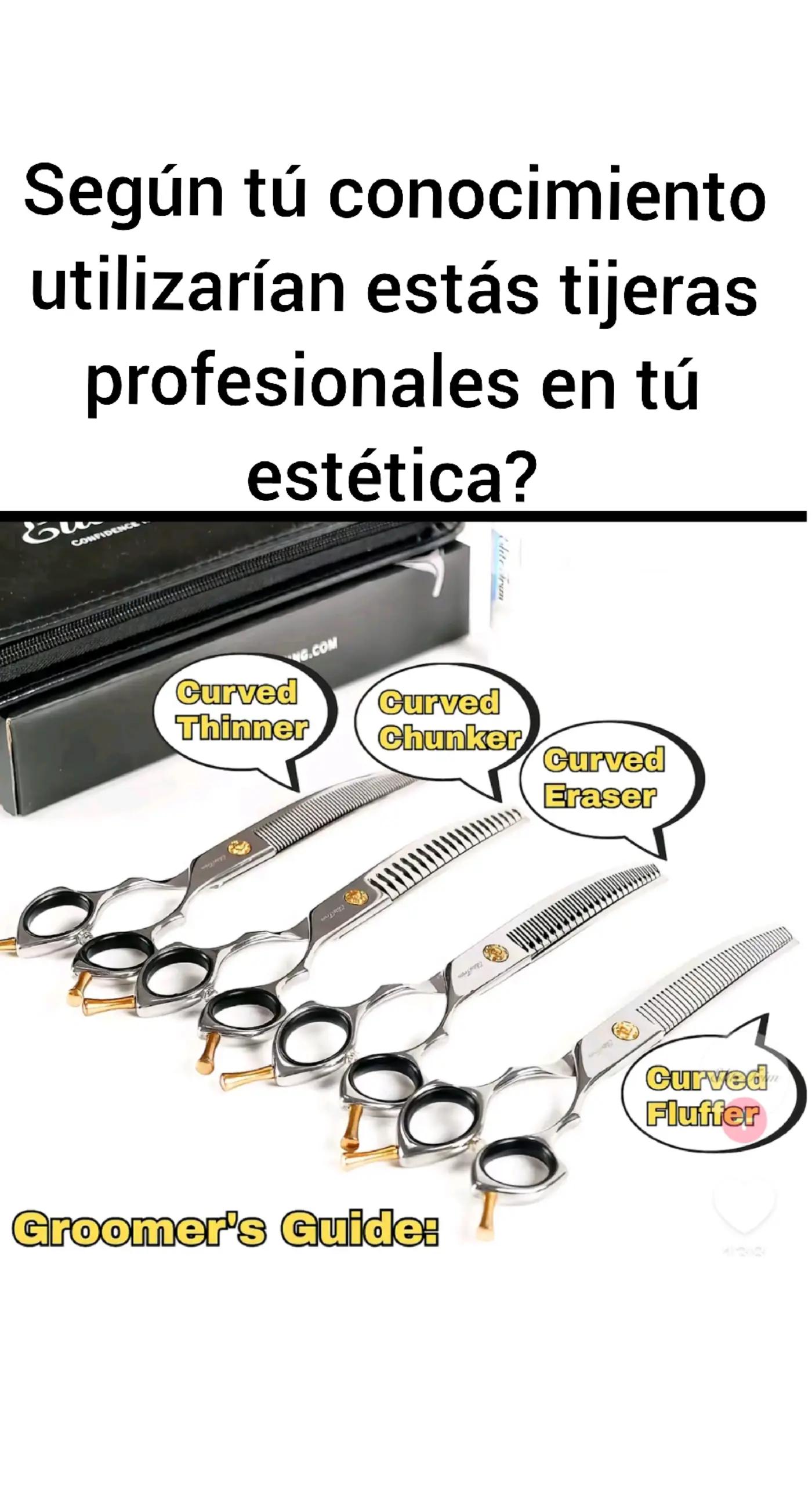 @Alianza Internacional