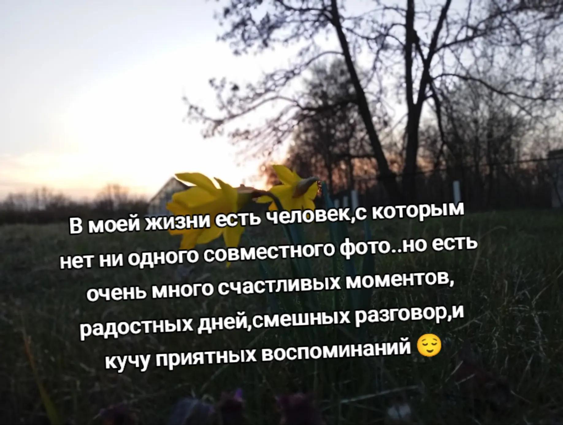 @nataschka sipkina
