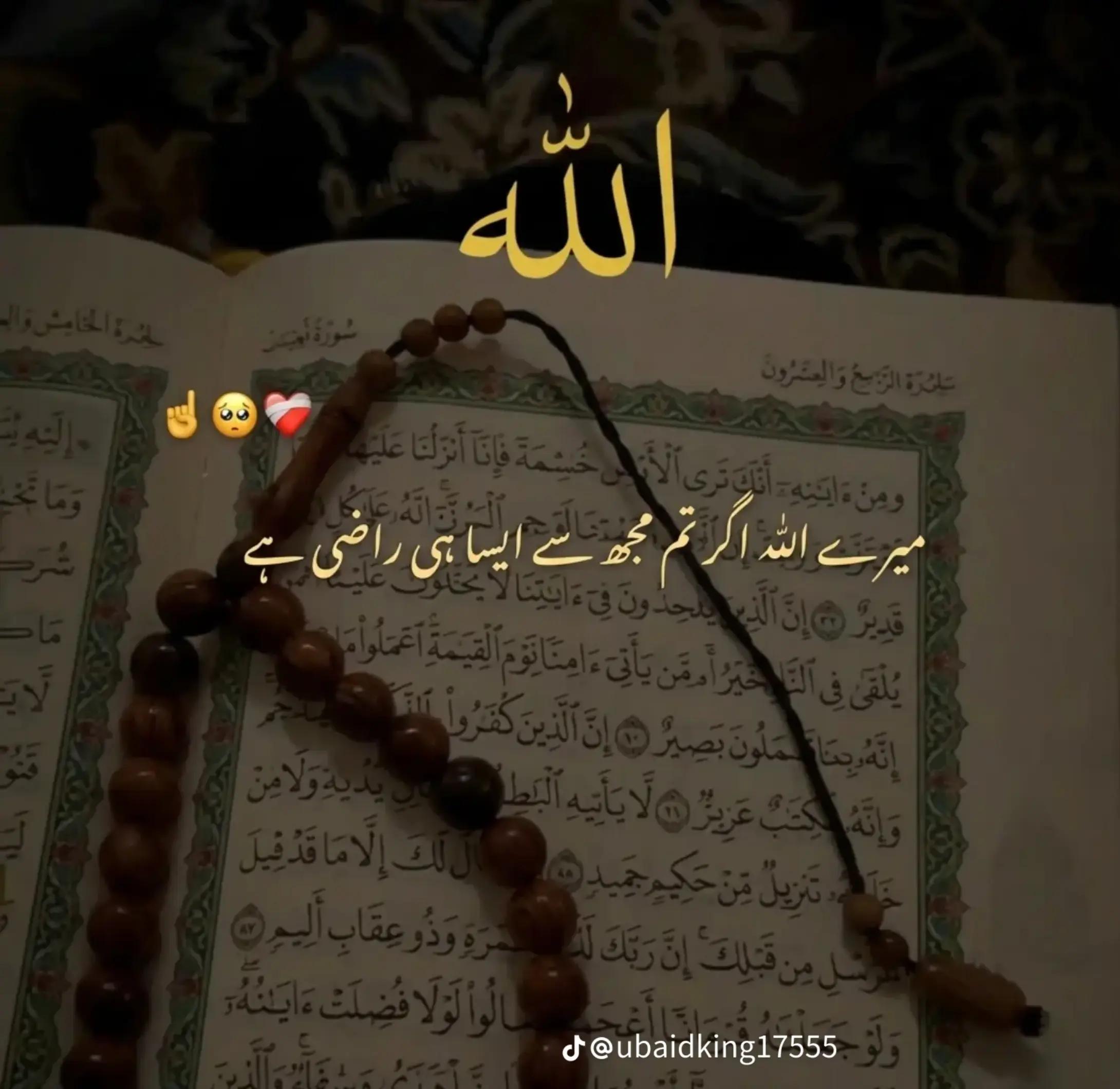 @Ahmad Abdulrahoof631