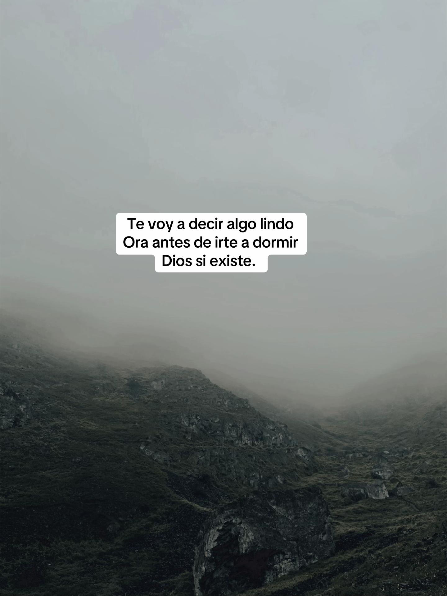 @luzbelizario