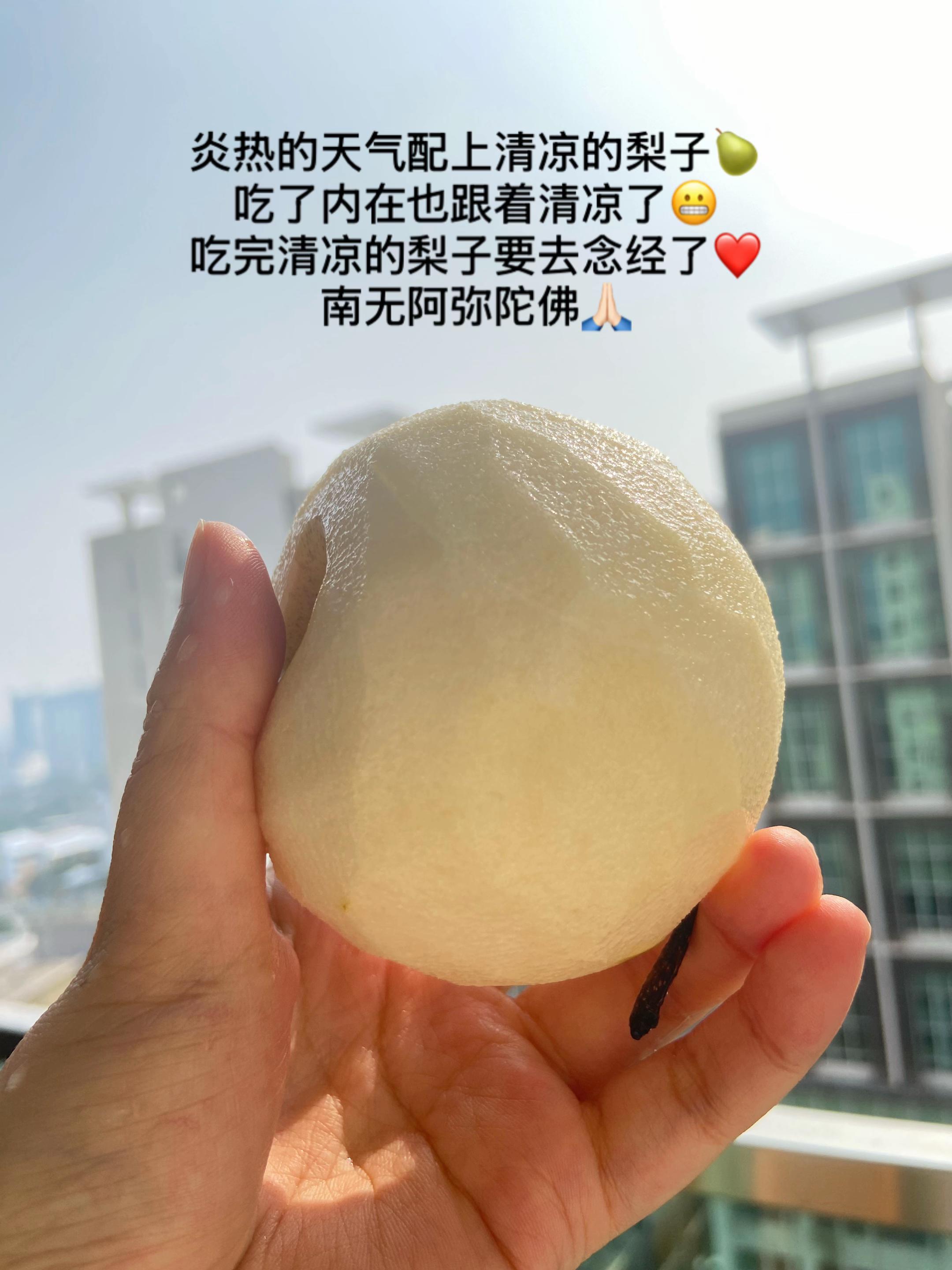 @净心