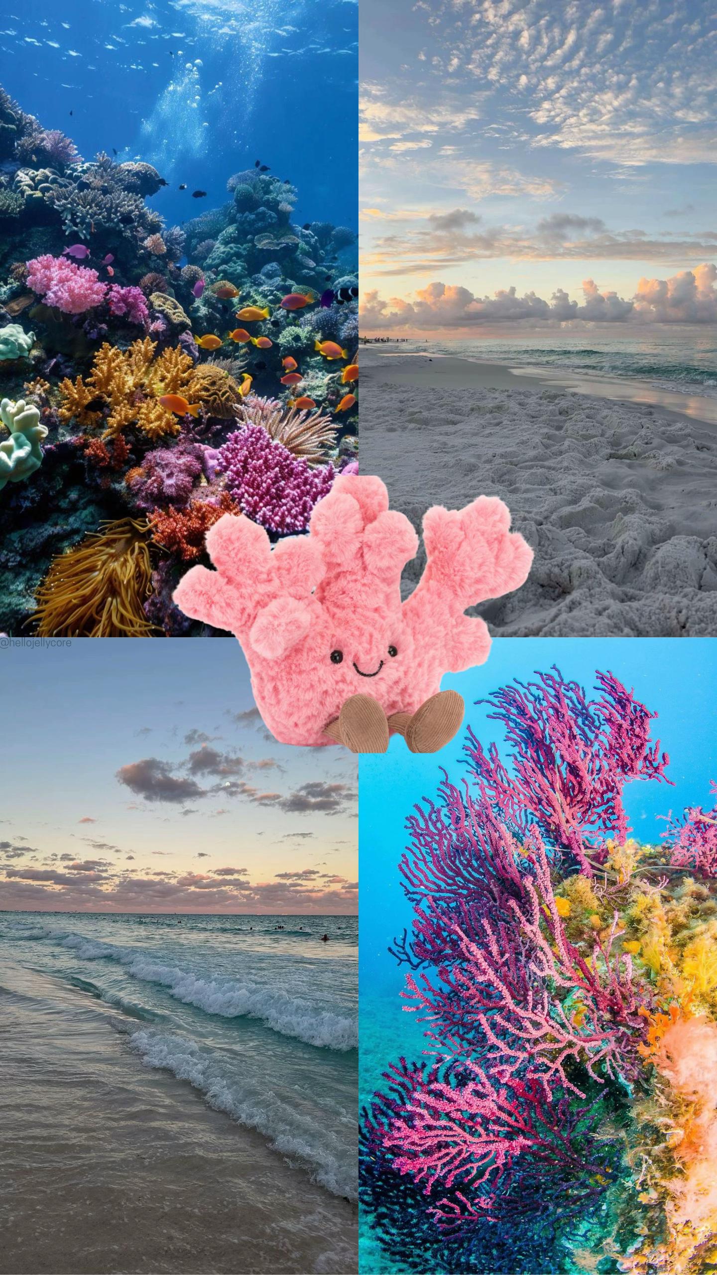 @Hellojellycore