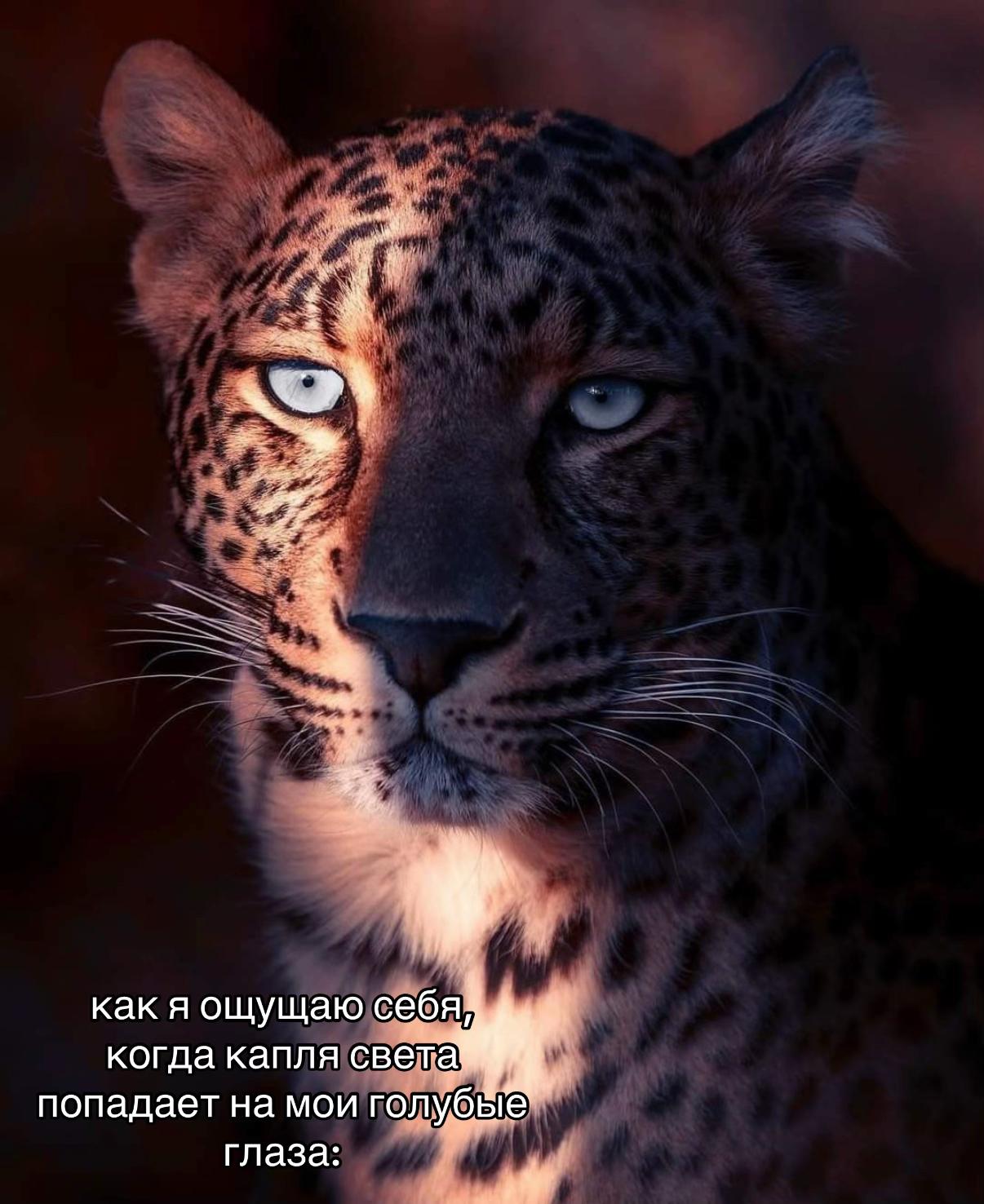 @Наталья Розенцвайг