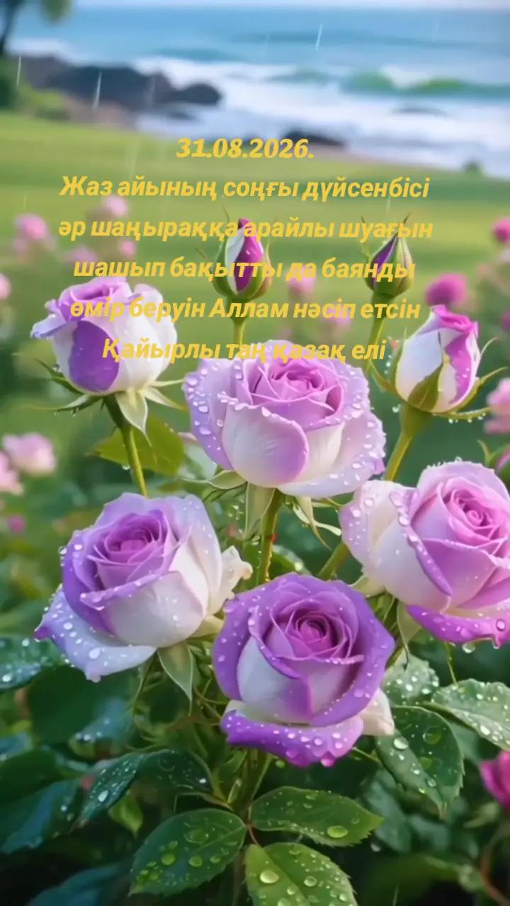 @🇰🇿Гульмира Тараз