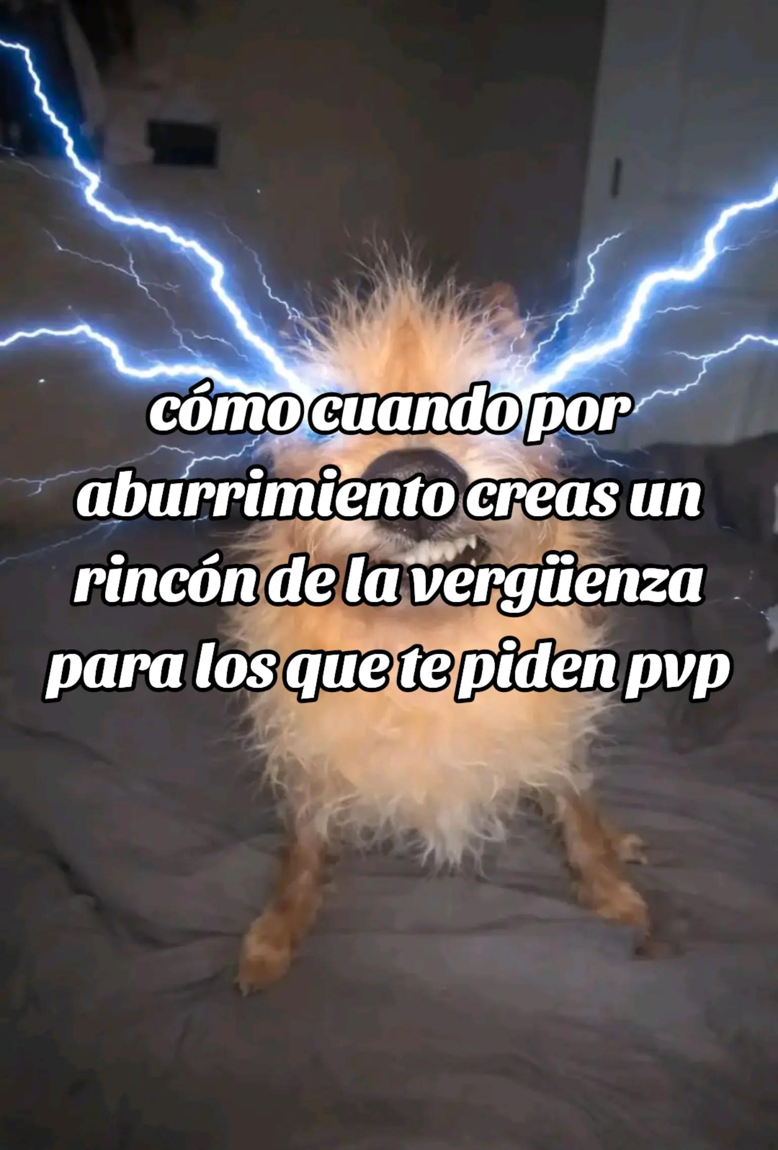 @womPro1