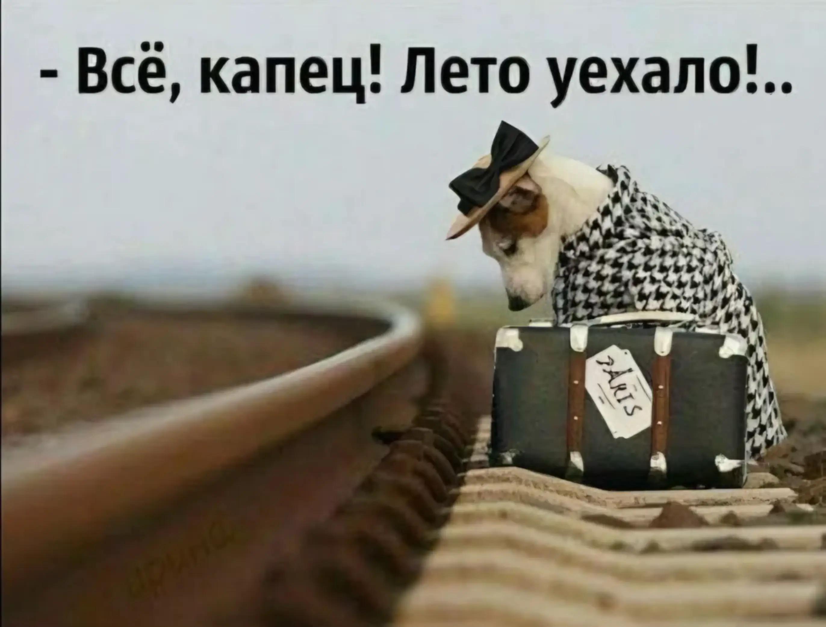 @delete