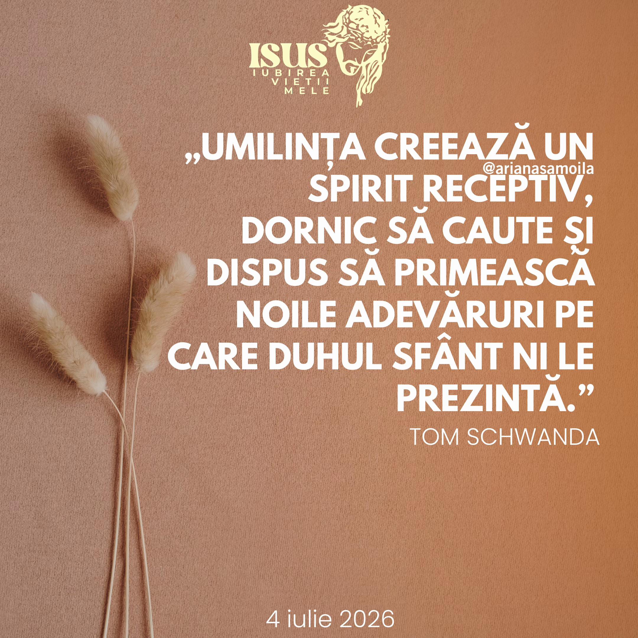 @Ariana Samoilă