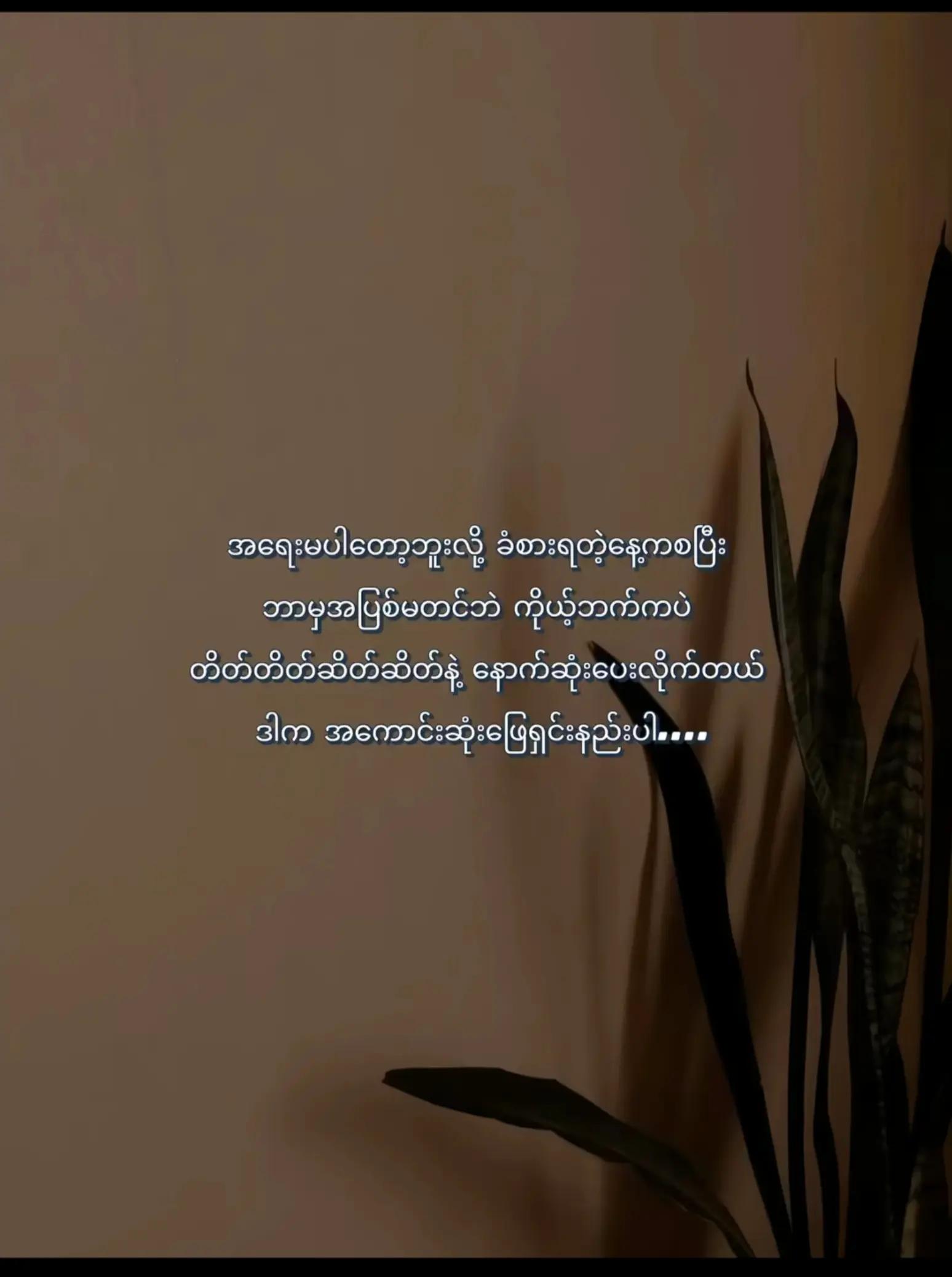 @တစ်ယောက်ထဲနေသာကျနေp nolove.🤱