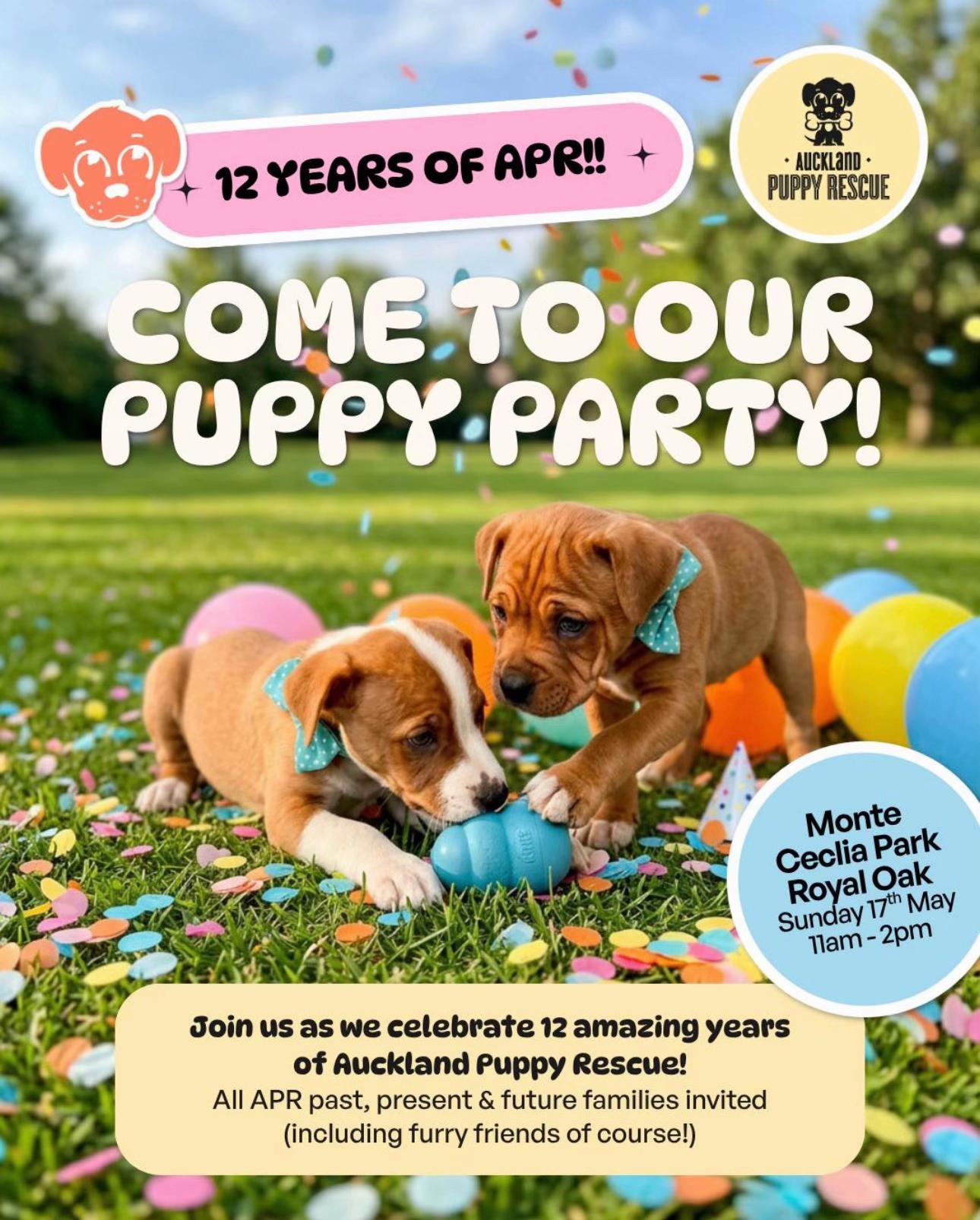 @Auckland Puppy Rescue