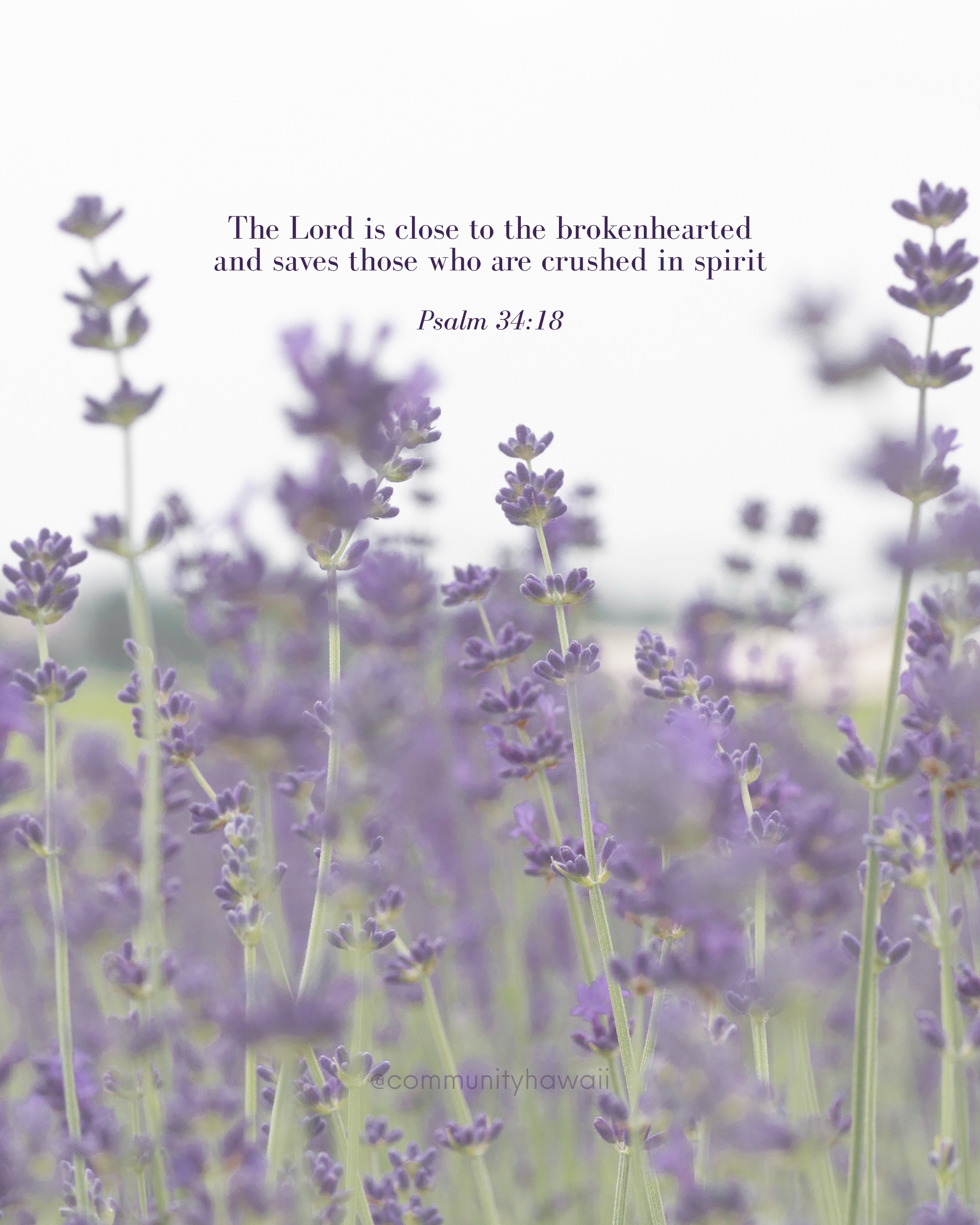 @Community Lutheran Church