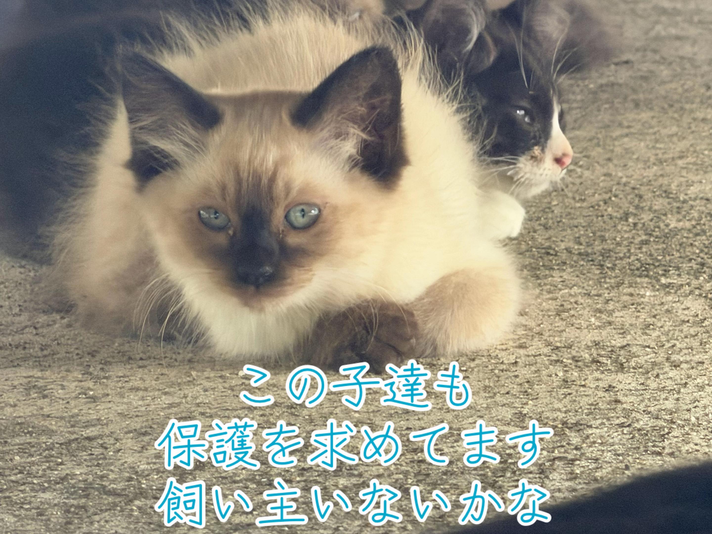 @ð¥é»æŸ€æ£å¿ð¥
