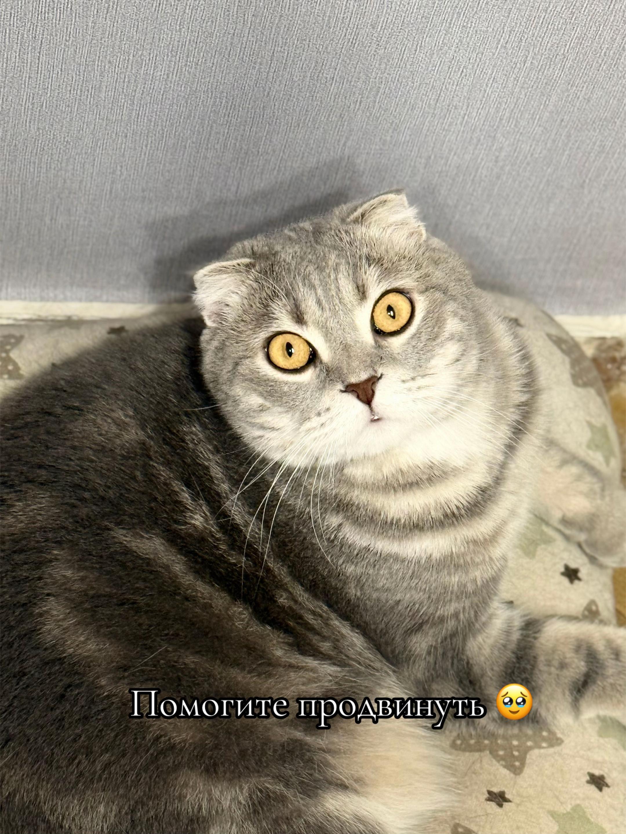 @Анастасия