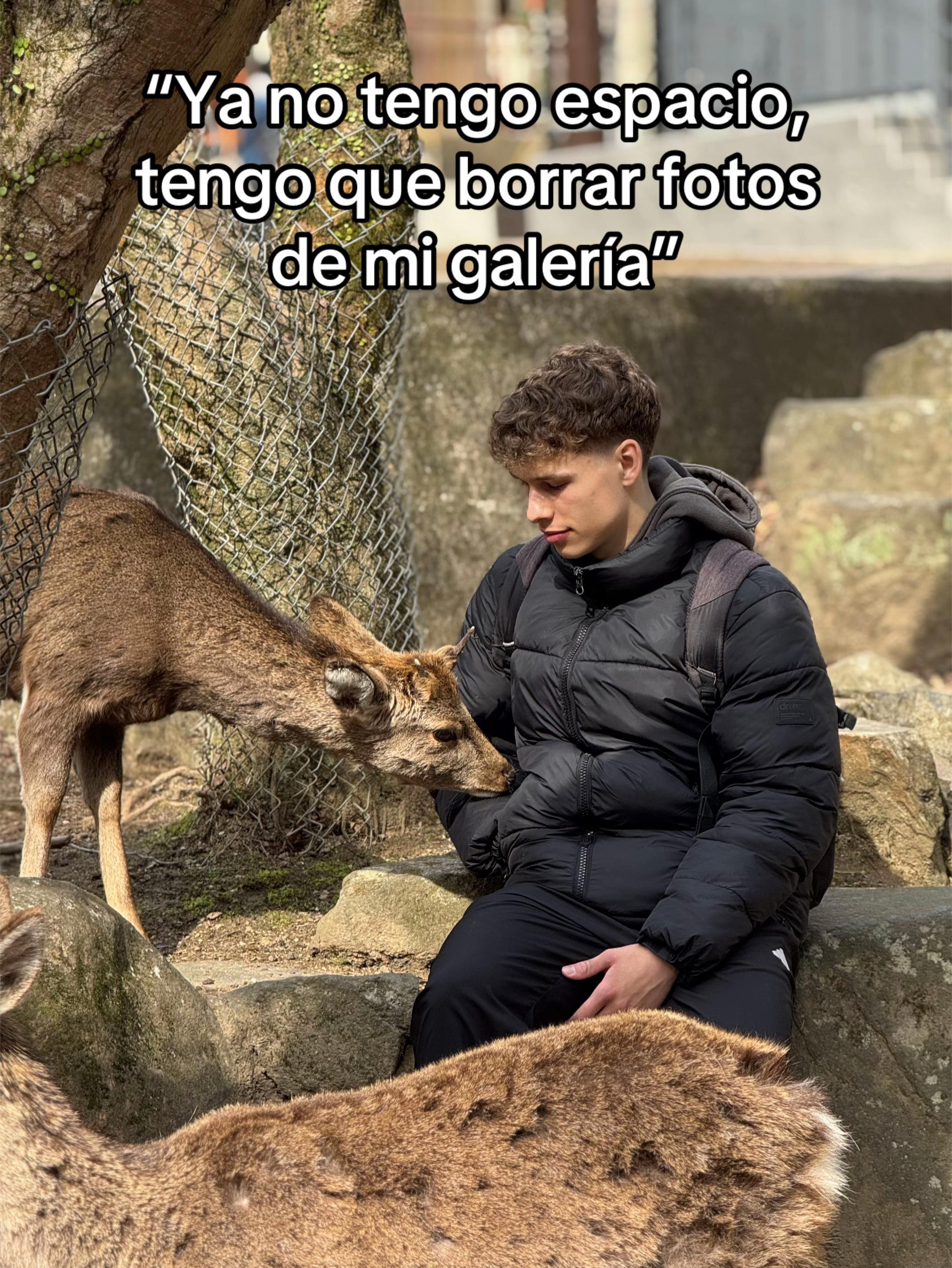 @DanoMC