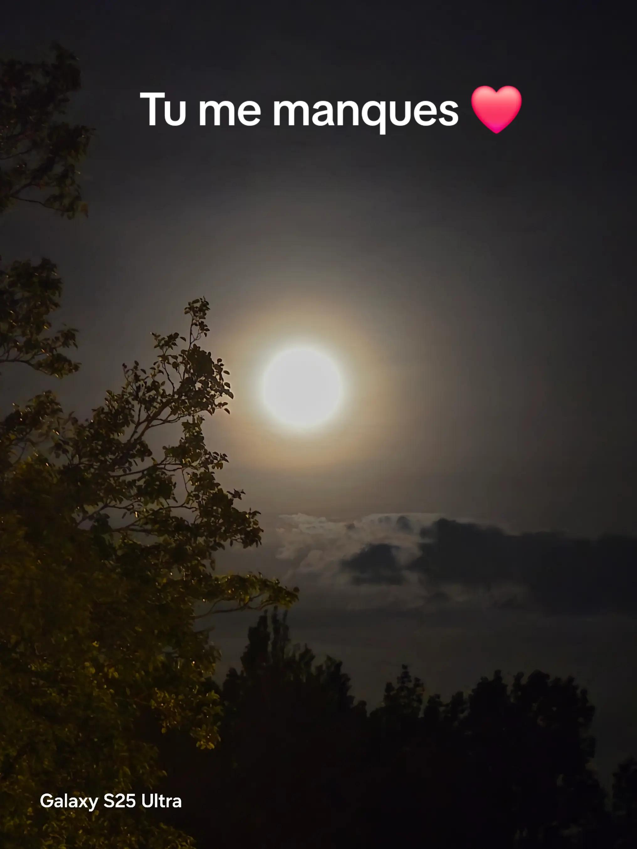 @alexandra 2007