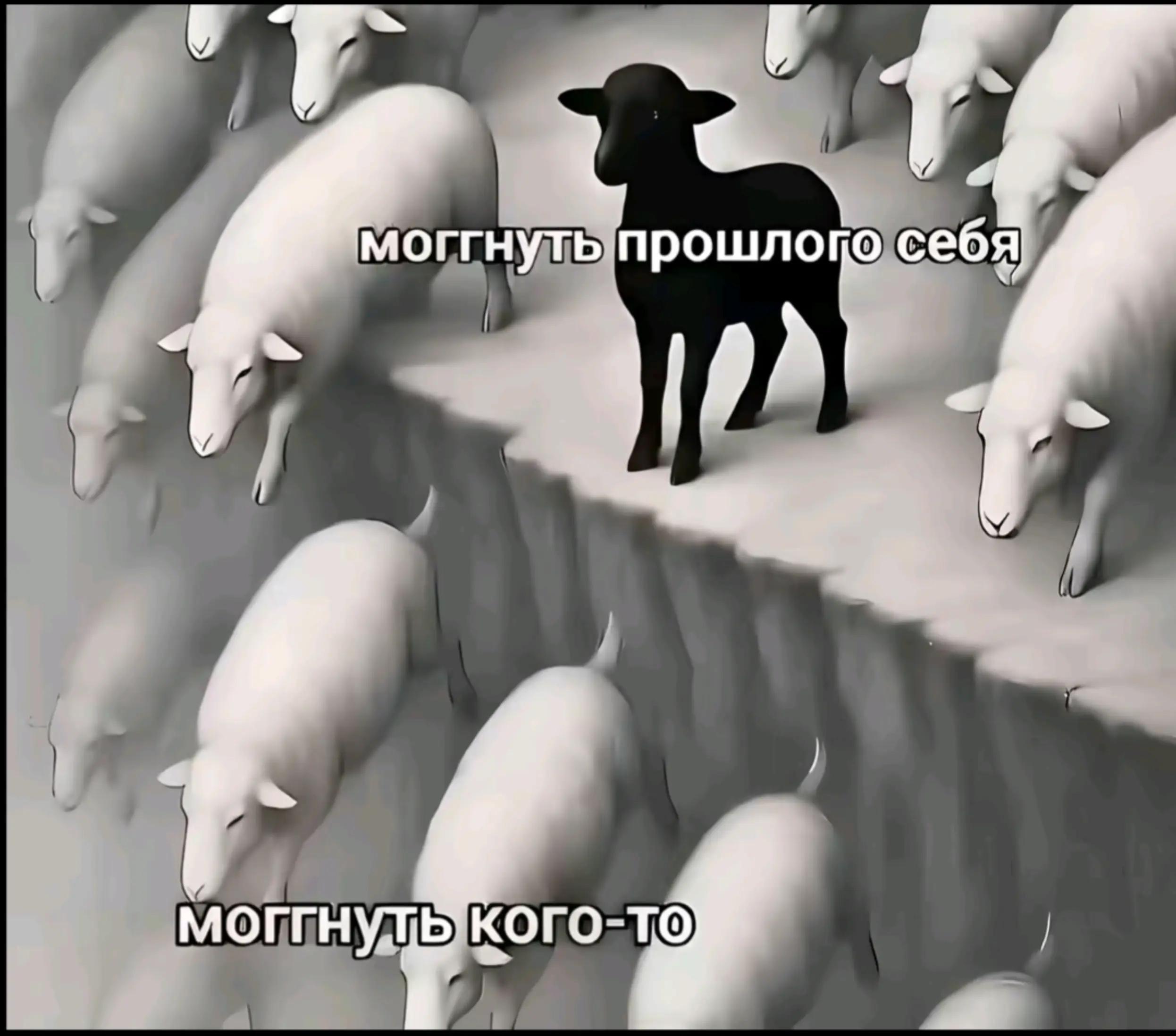 @neverlaye🐈⬛