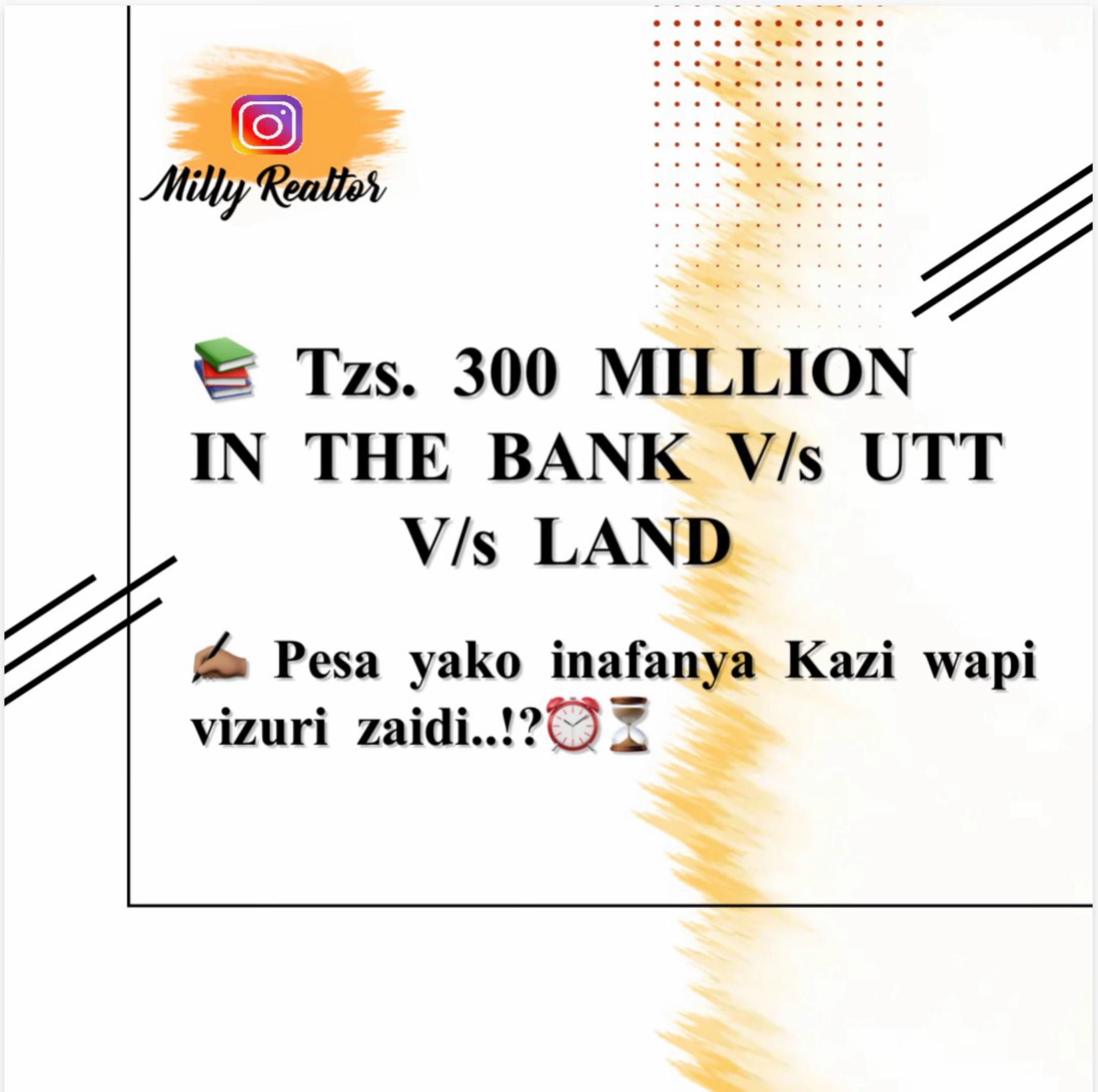 @Milly Realtor 🇹🇿