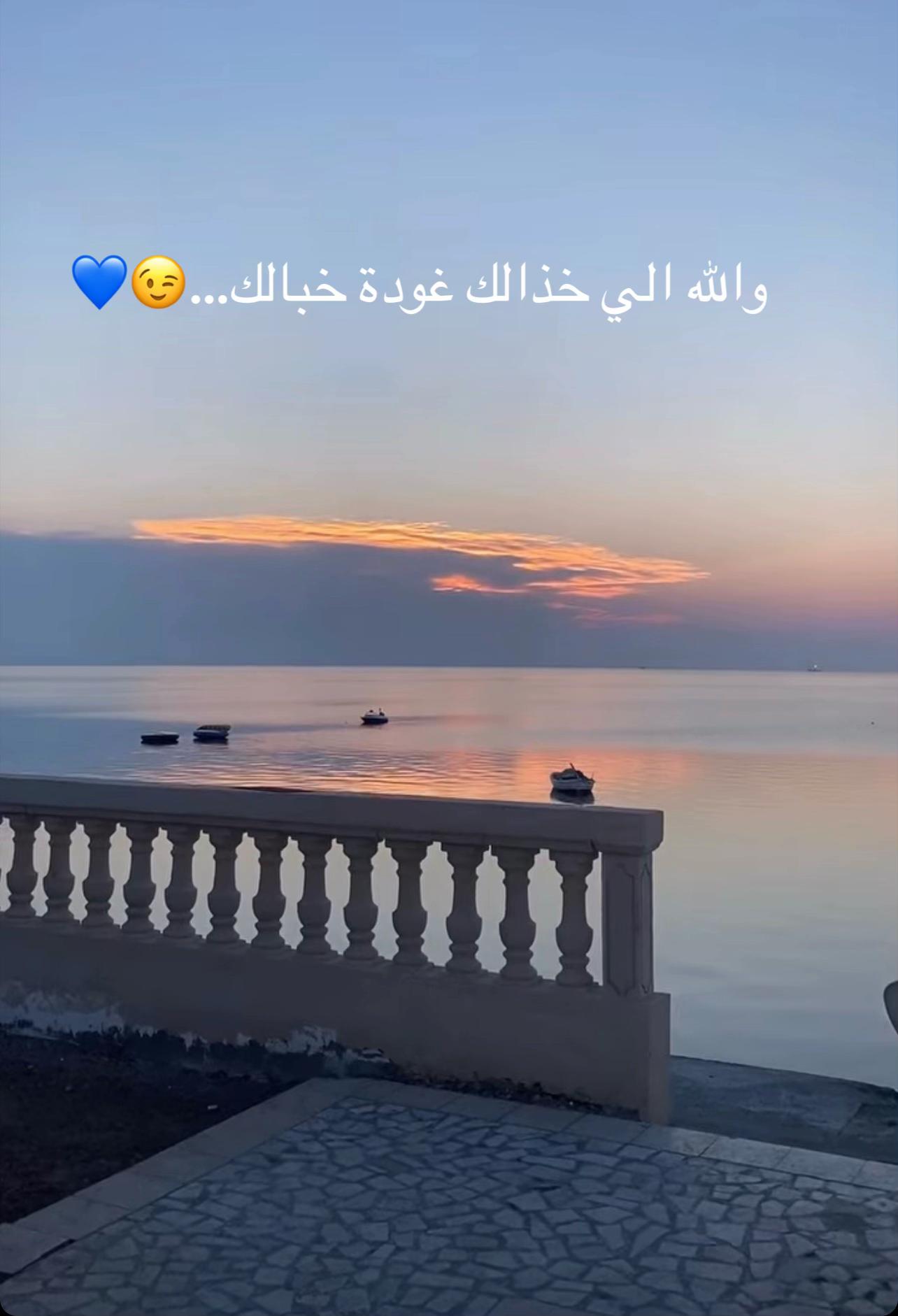 @🦋MIMI🦋