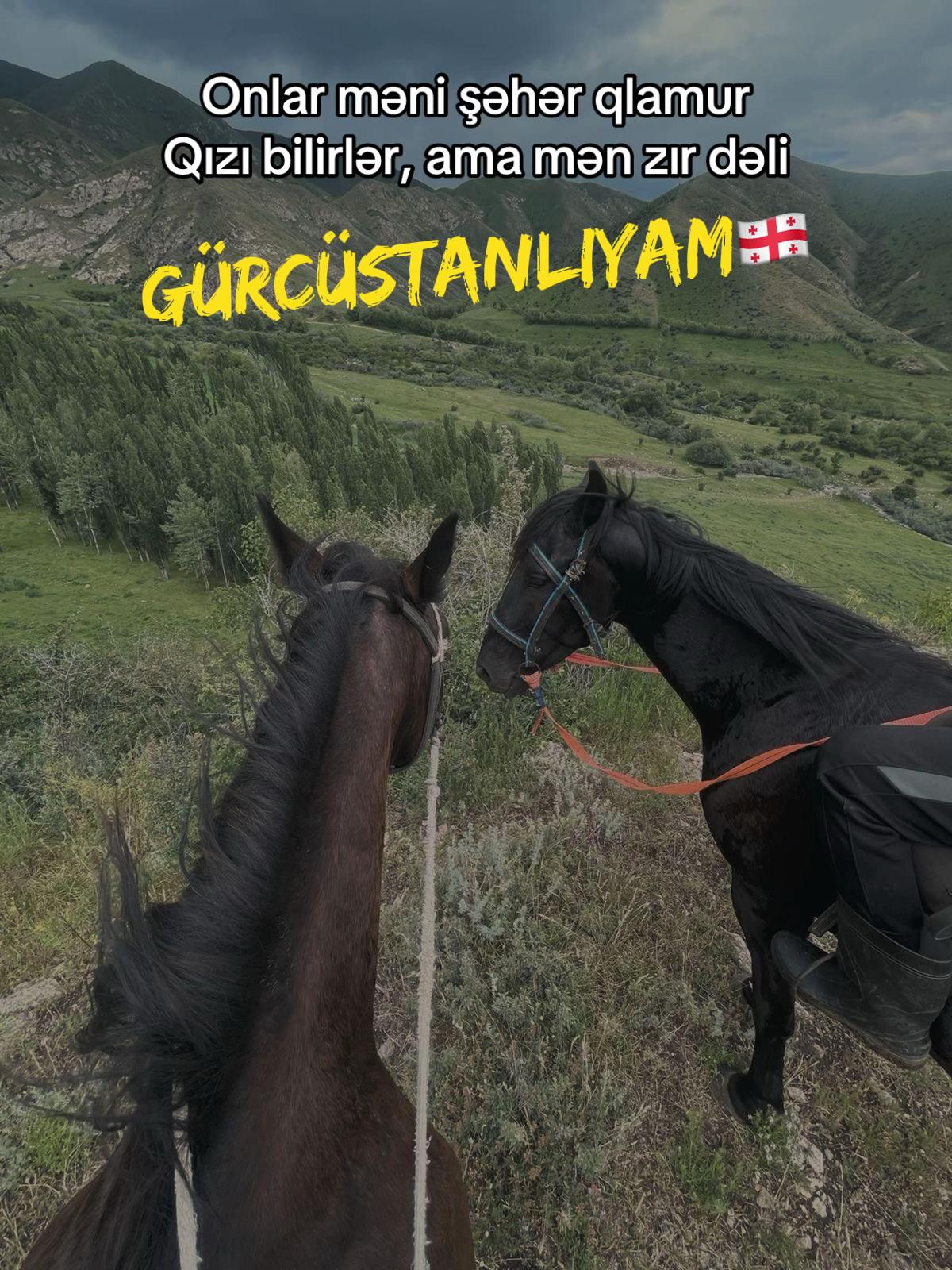 @𝓢𝓲𝓶𝓪𝓷𝓸𝓿𝓪