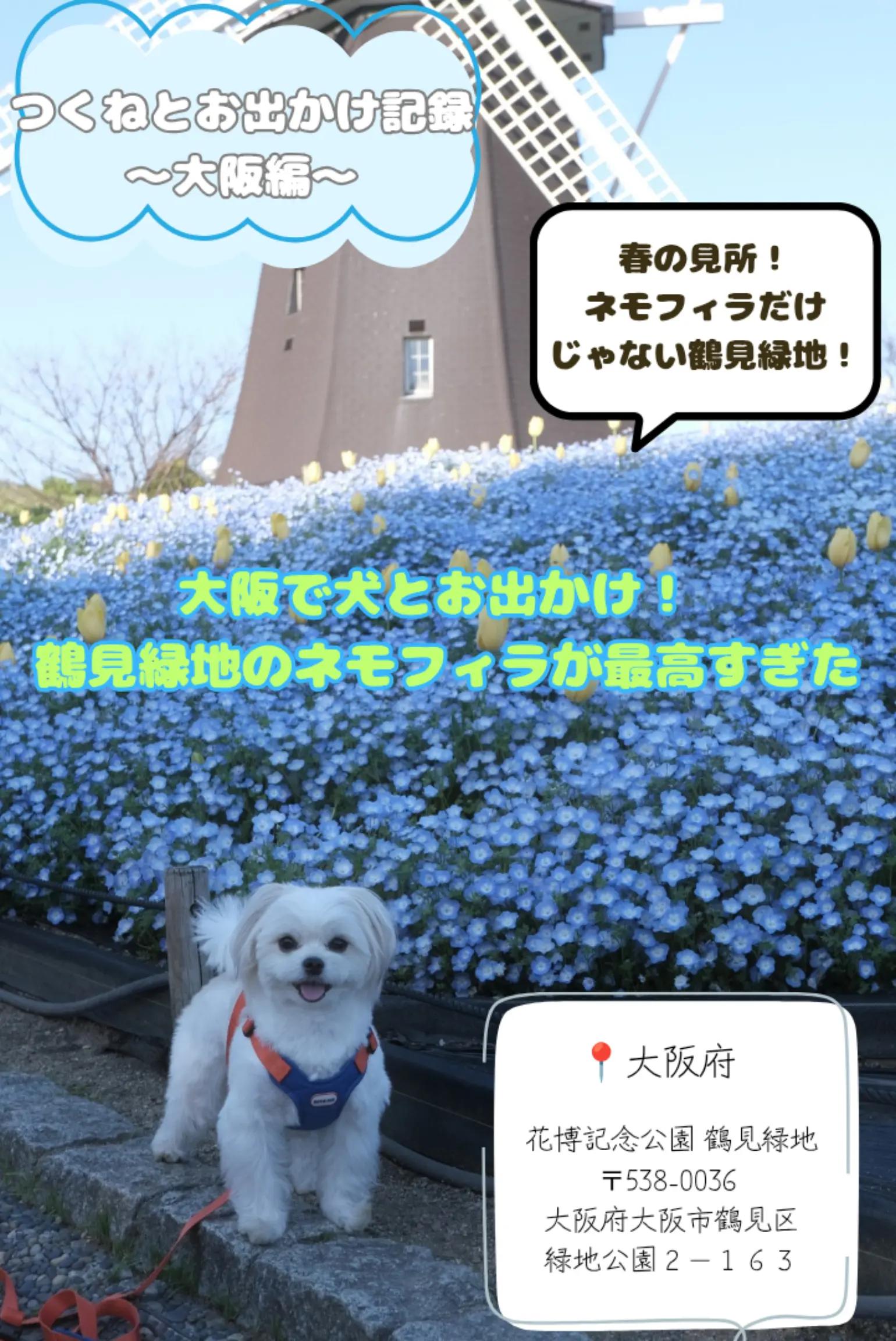 @つくねくん
